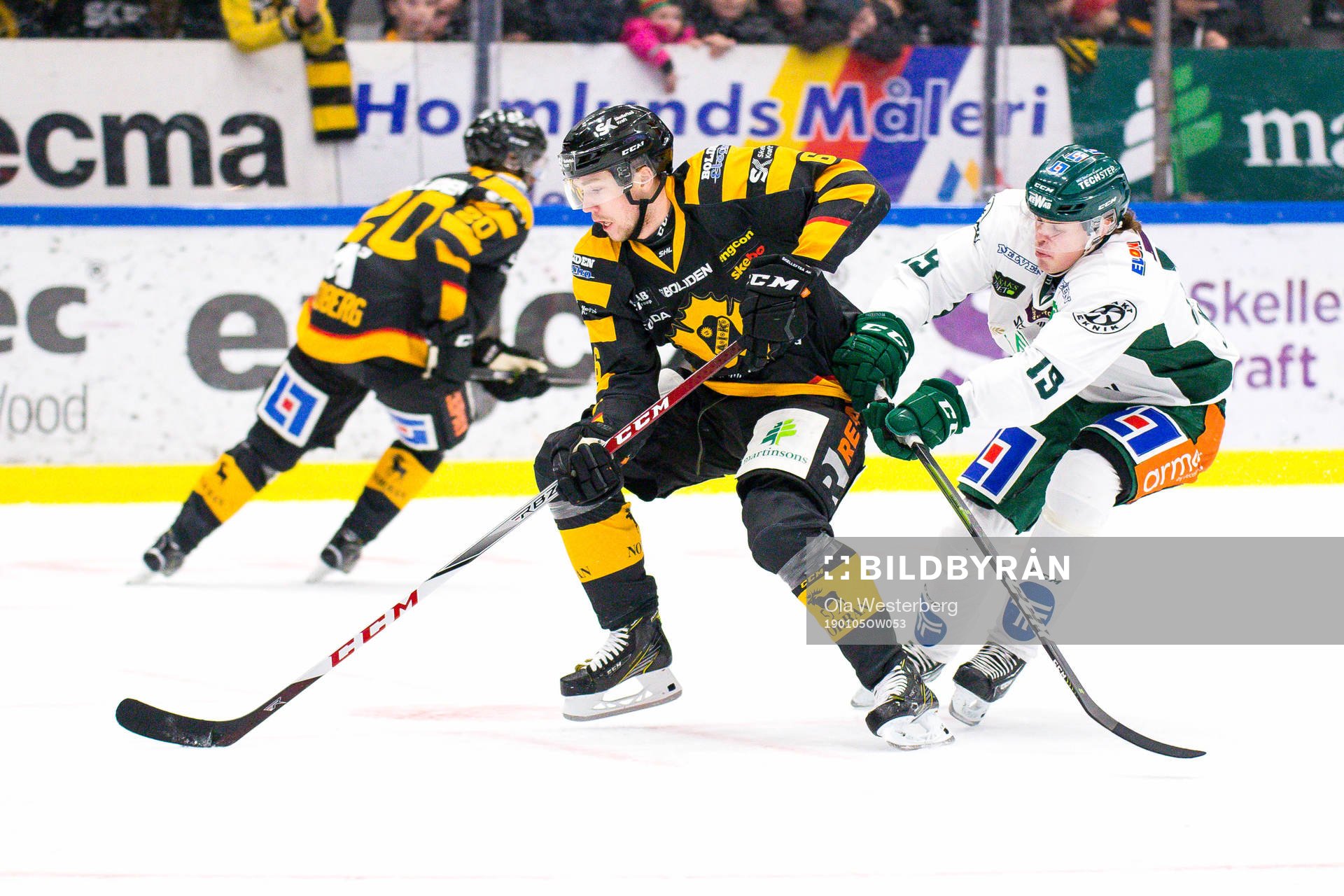 Skellefteås Filip Berglund