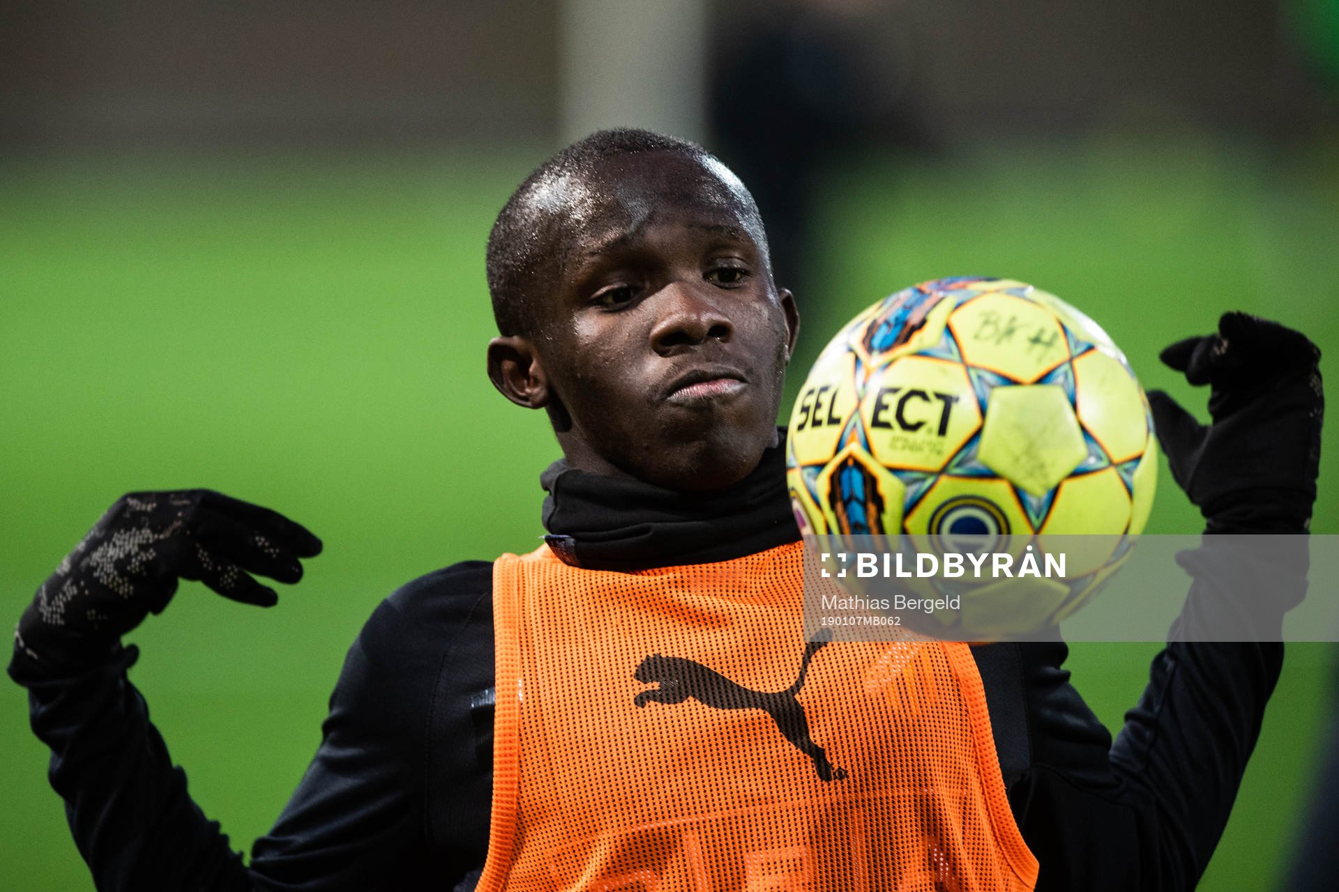 David Ngoma