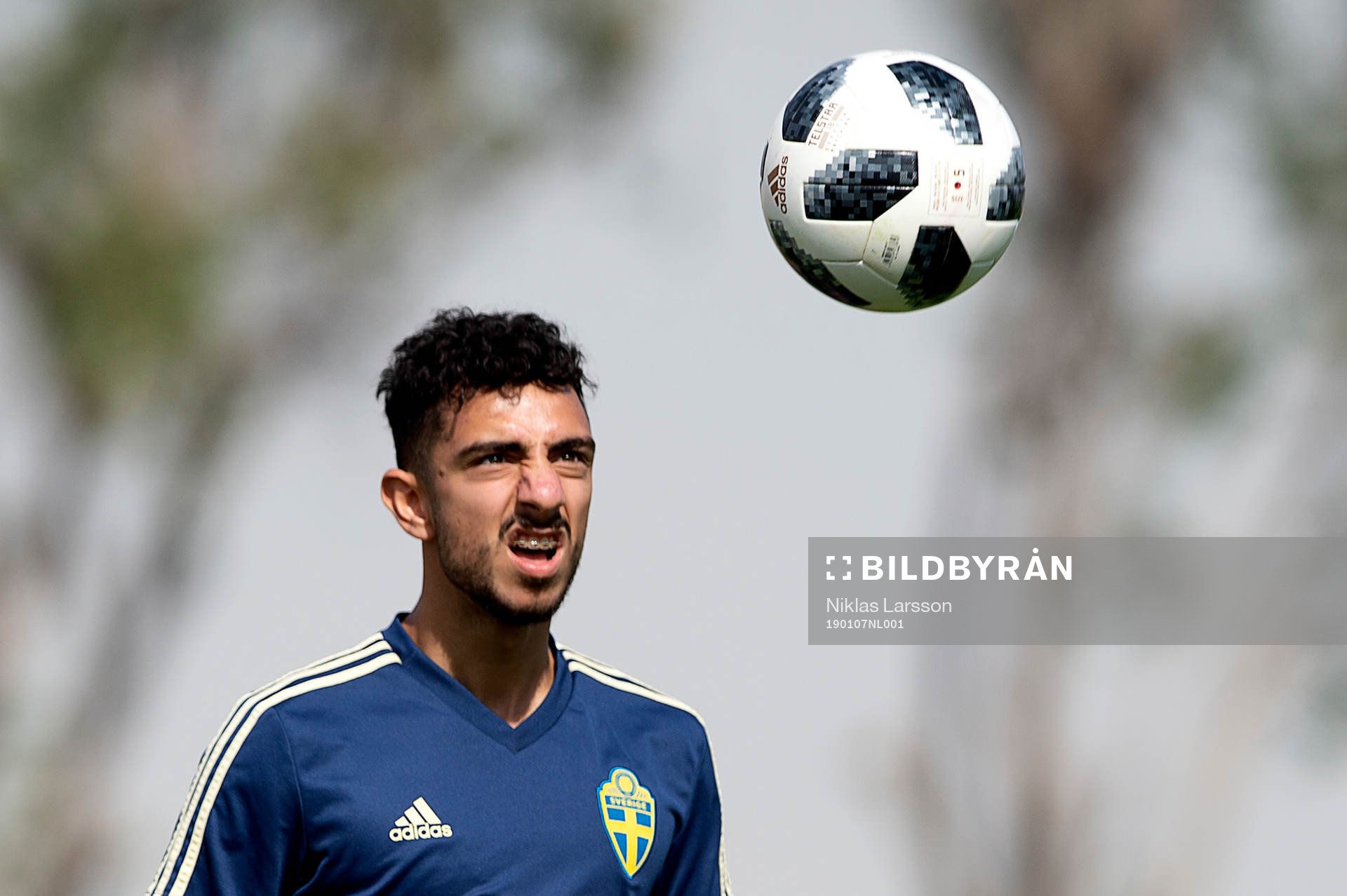 Sweden's Daleho Irandust
