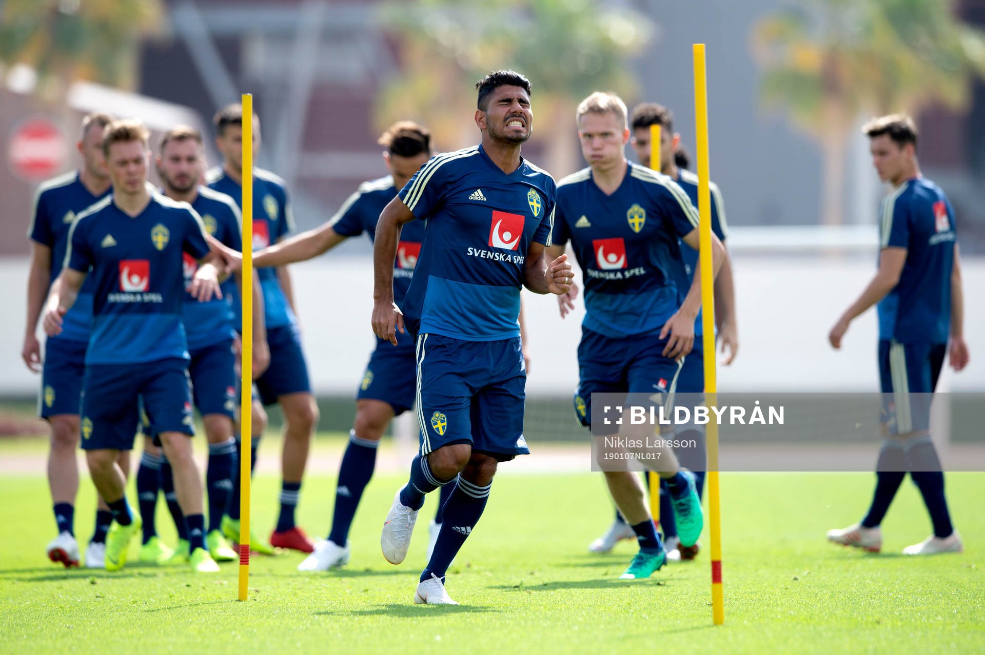 Sweden's Hosam Aiesh