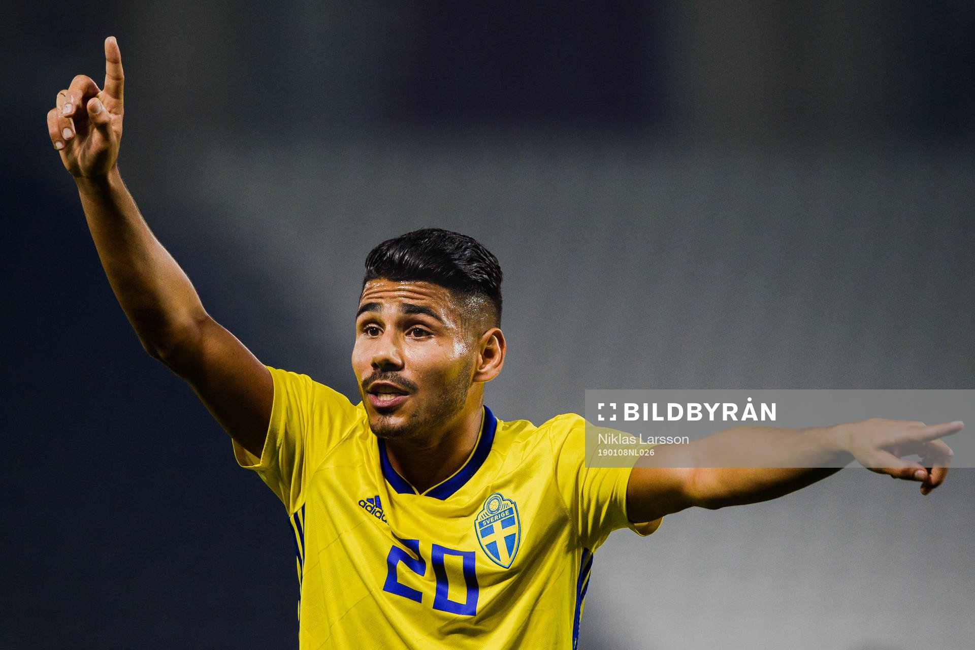 Hosam Aiesh of Sweden