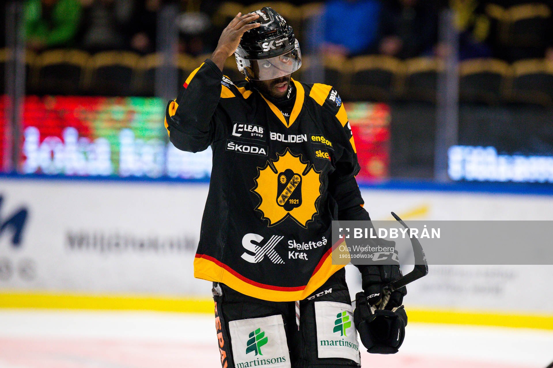 Skellefteås Edwin Hedberg