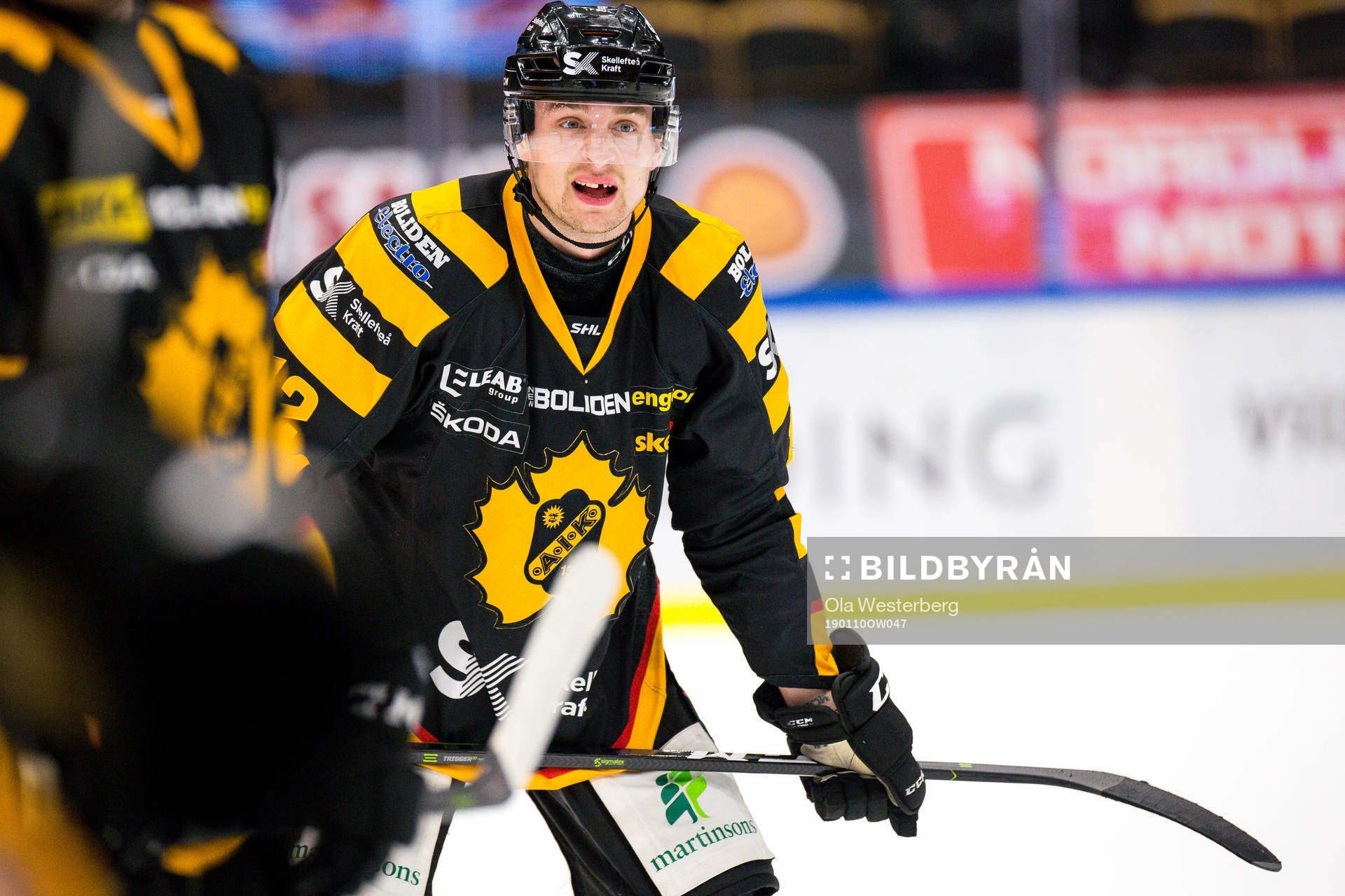 Skellefteås Adam Pettersson