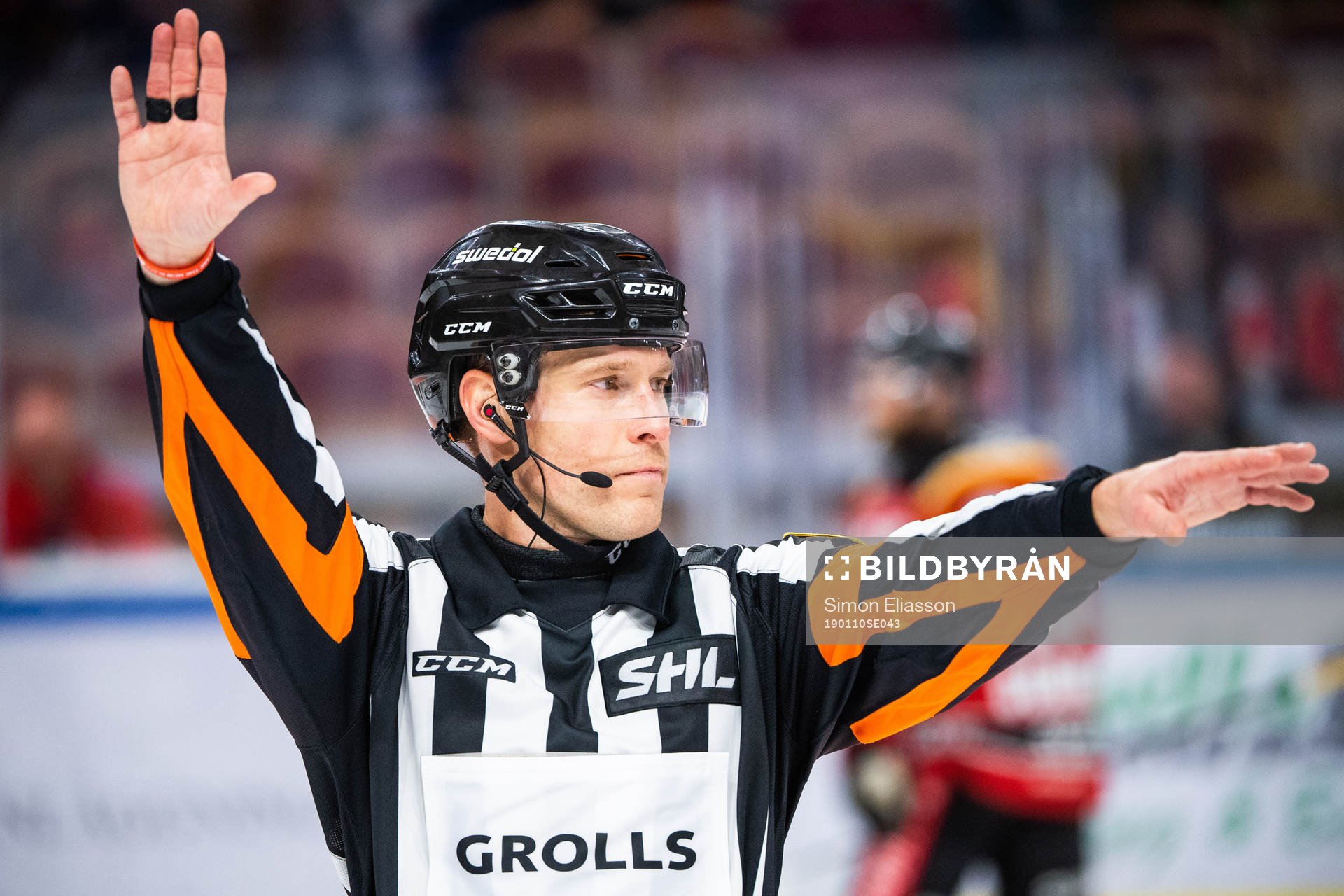 Domare Tobias Björk