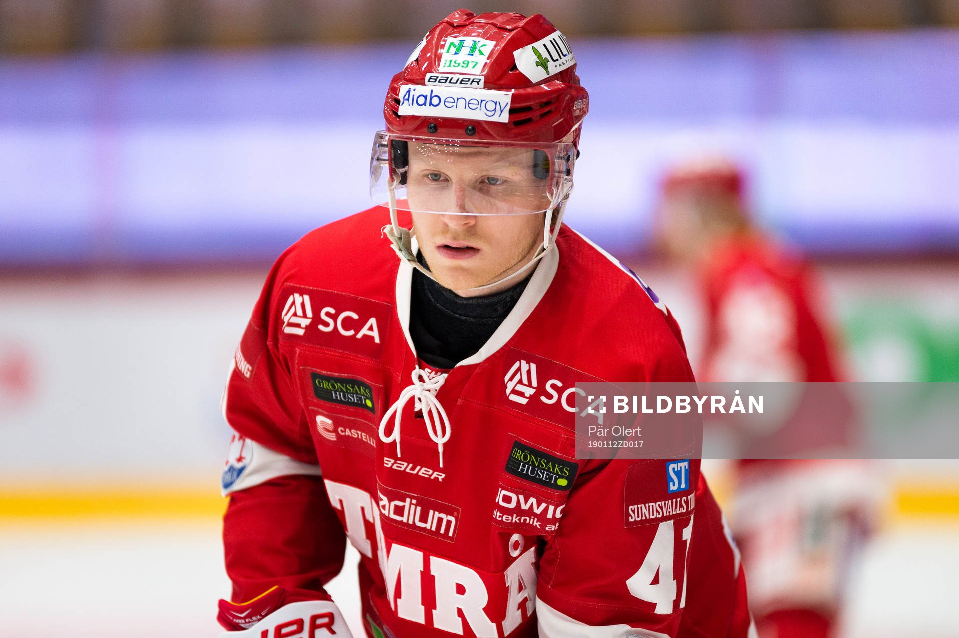 Timrås Alexander Falk
