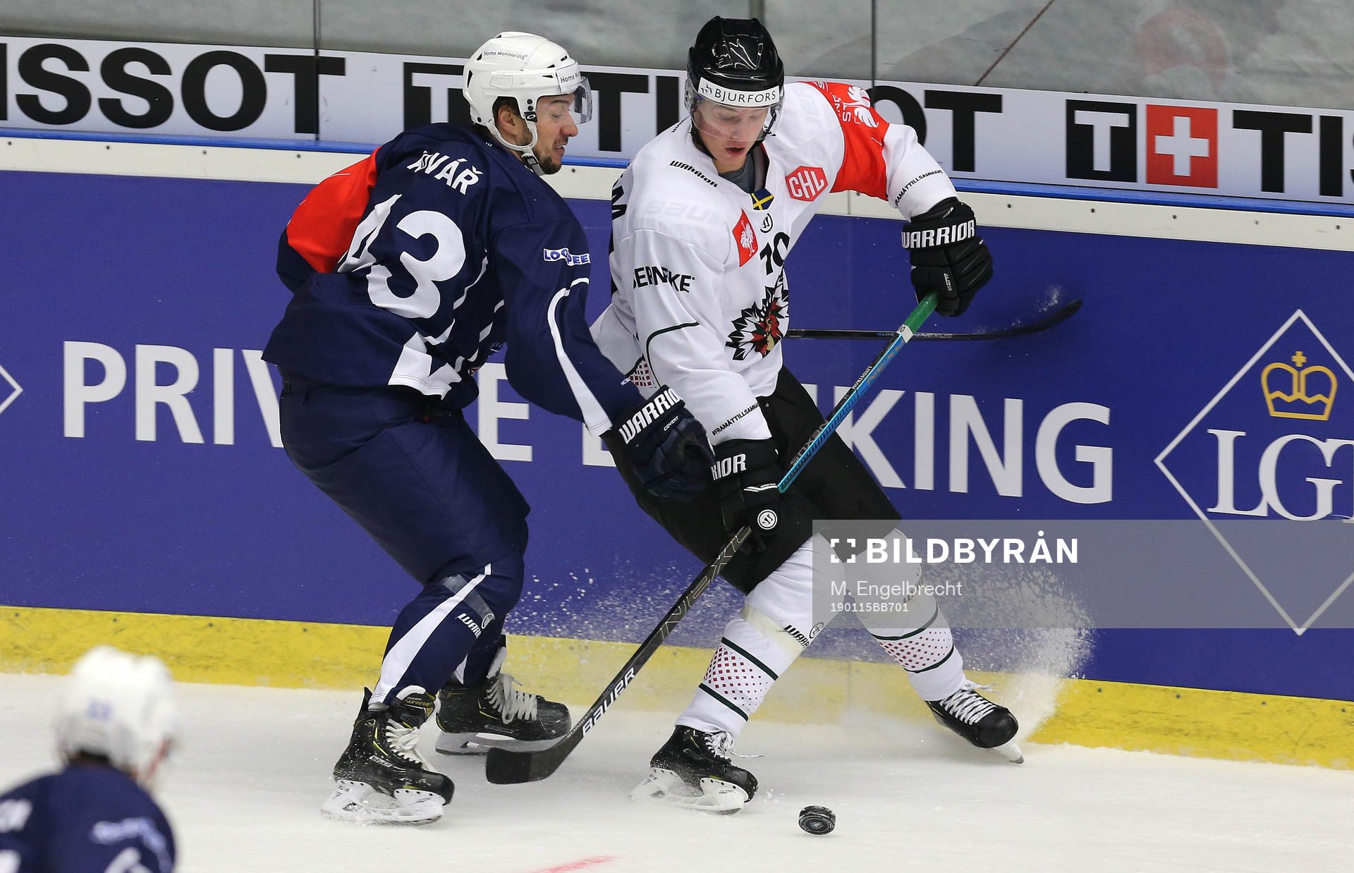 Ishockey, CHL PILSEN,CZECH REPUBLIC,15.JAN.19 - ICE HOCKEY