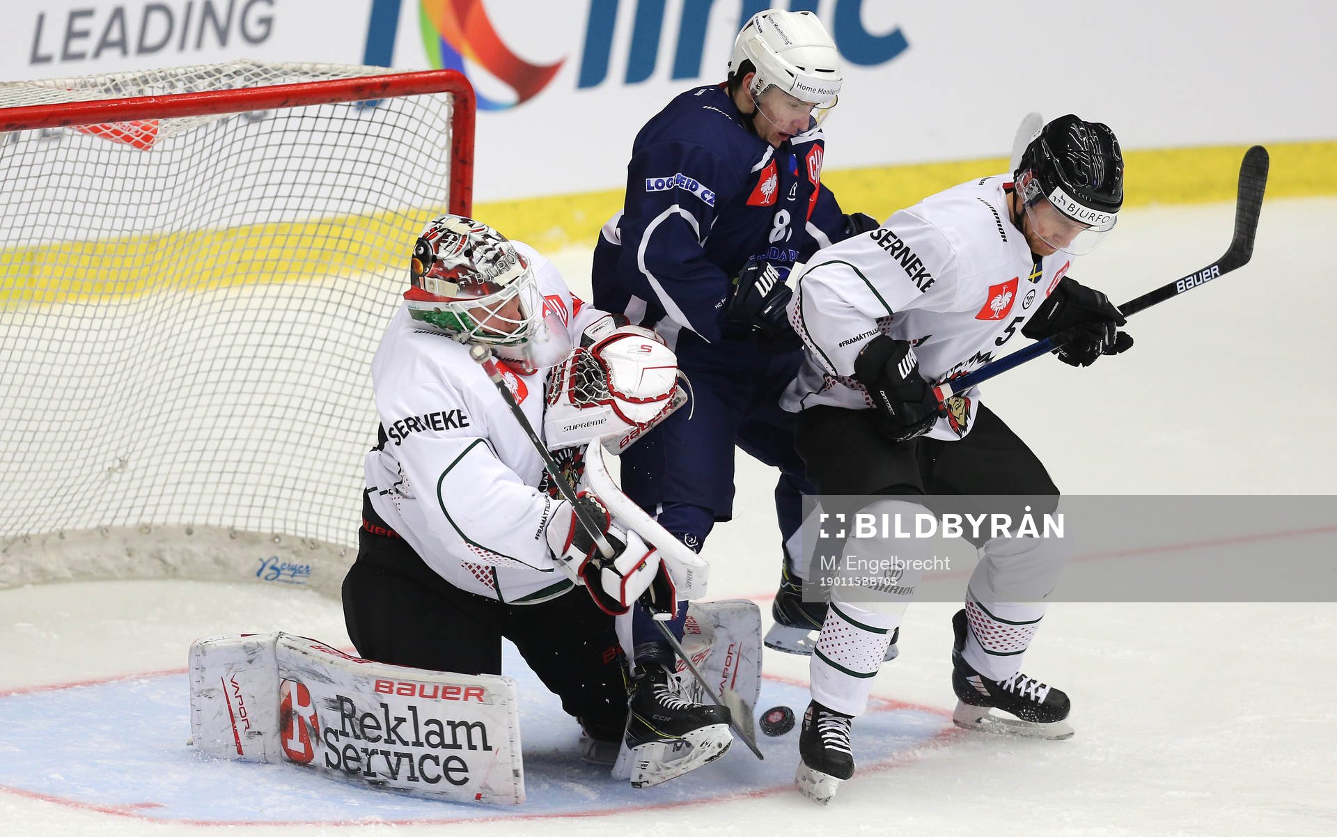 Ishockey, CHL PILSEN,CZECH REPUBLIC,15.JAN.19 - ICE HOCKEY