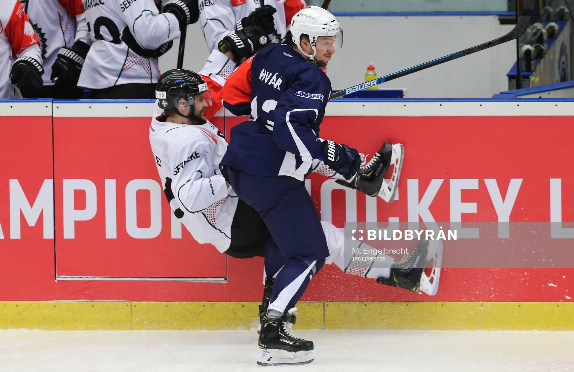 Ishockey, CHL PILSEN,CZECH REPUBLIC,15.JAN.19 - ICE HOCKEY