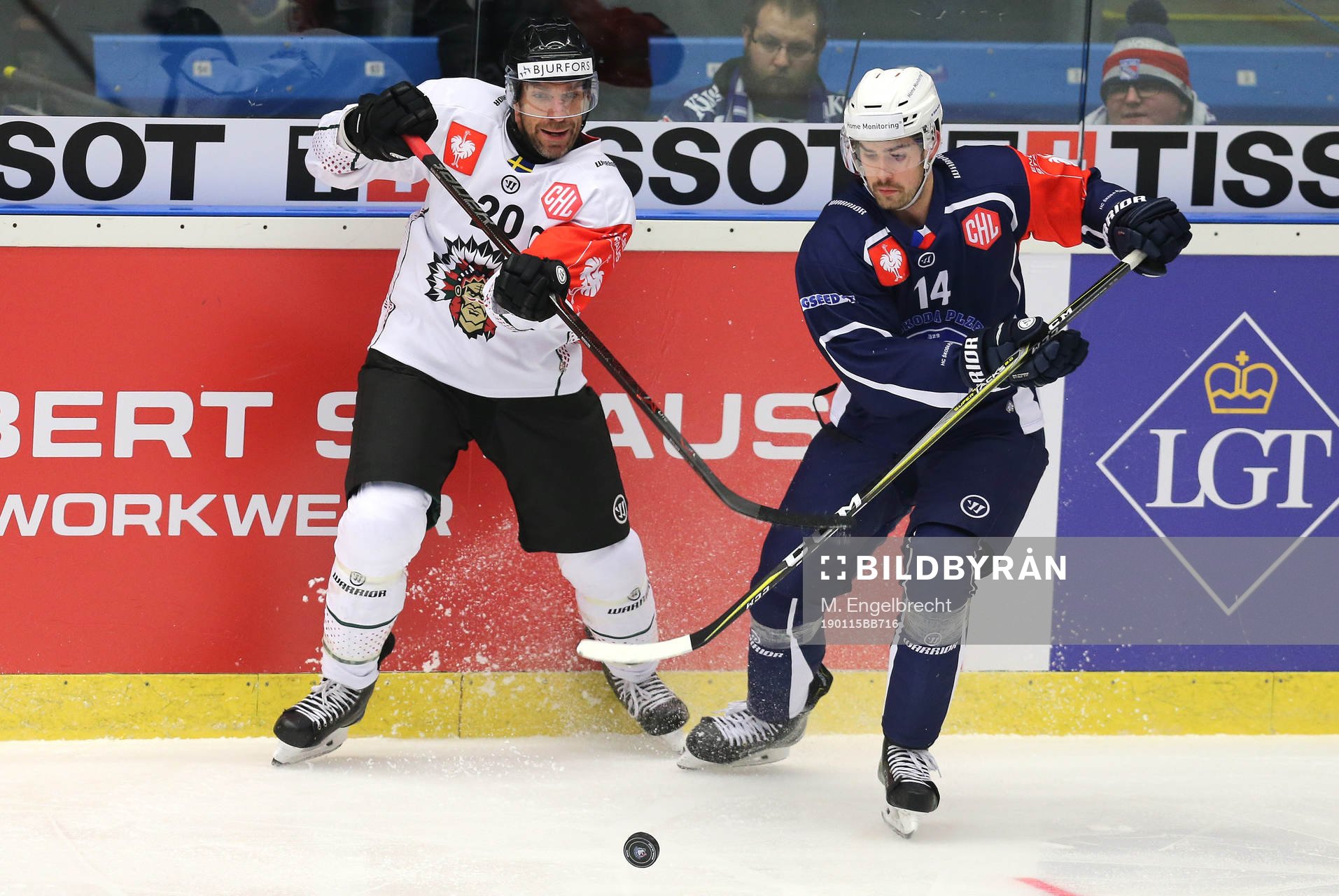 Ishockey, CHL PILSEN,CZECH REPUBLIC,15.JAN.19 - ICE HOCKEY