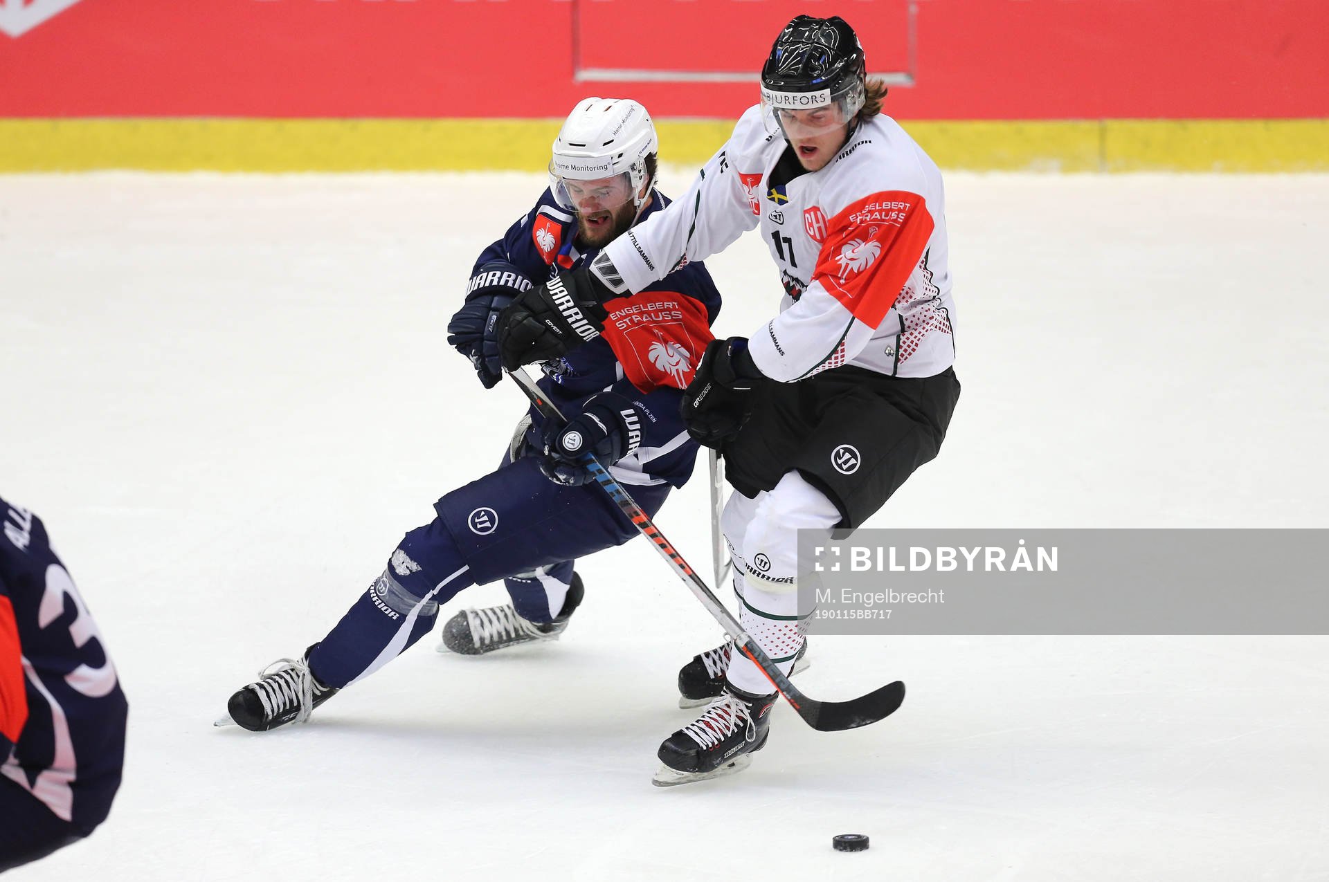 Ishockey, CHL PILSEN,CZECH REPUBLIC,15.JAN.19 - ICE HOCKEY