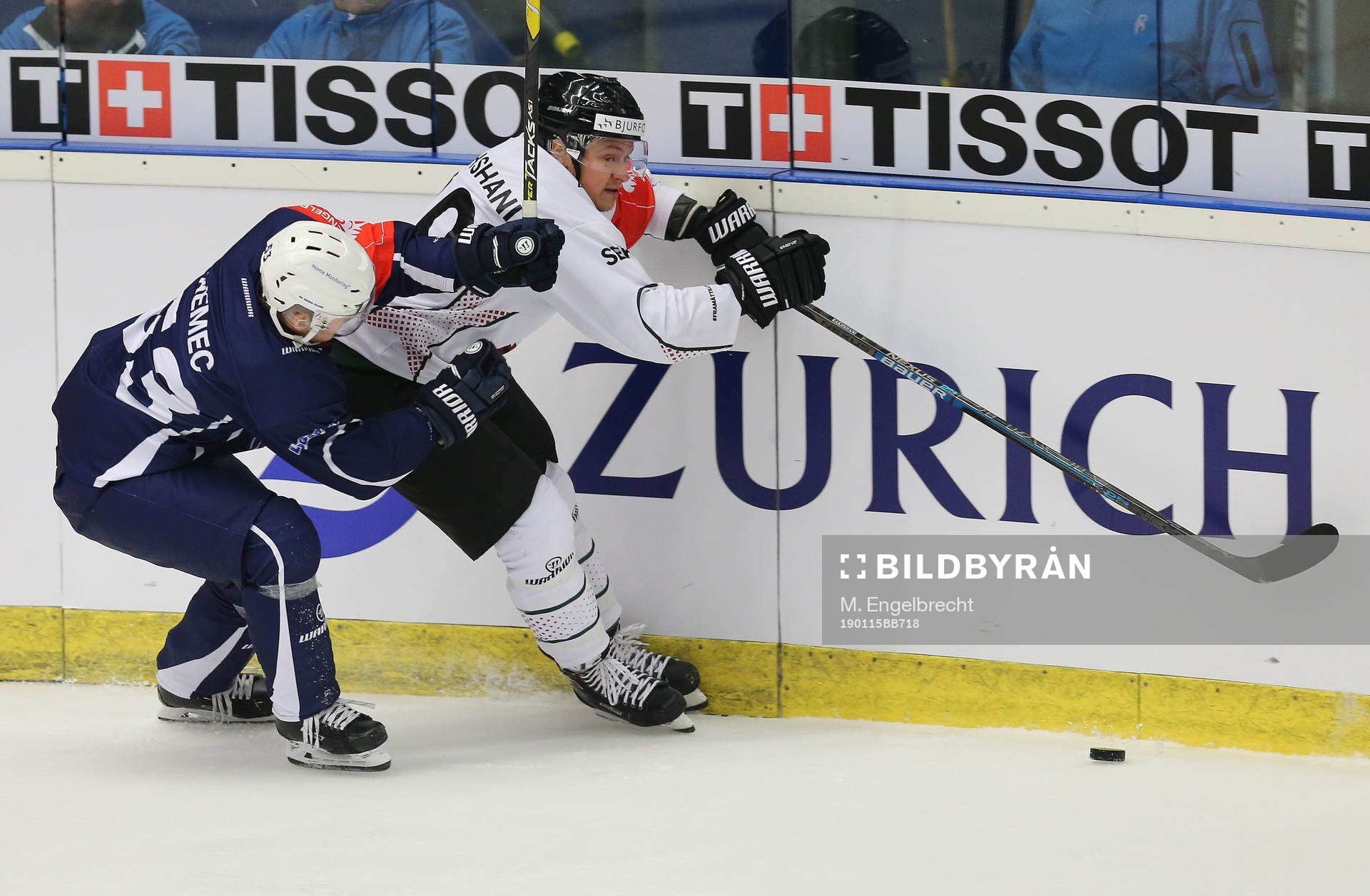 Ishockey, CHL PILSEN,CZECH REPUBLIC,15.JAN.19 - ICE HOCKEY