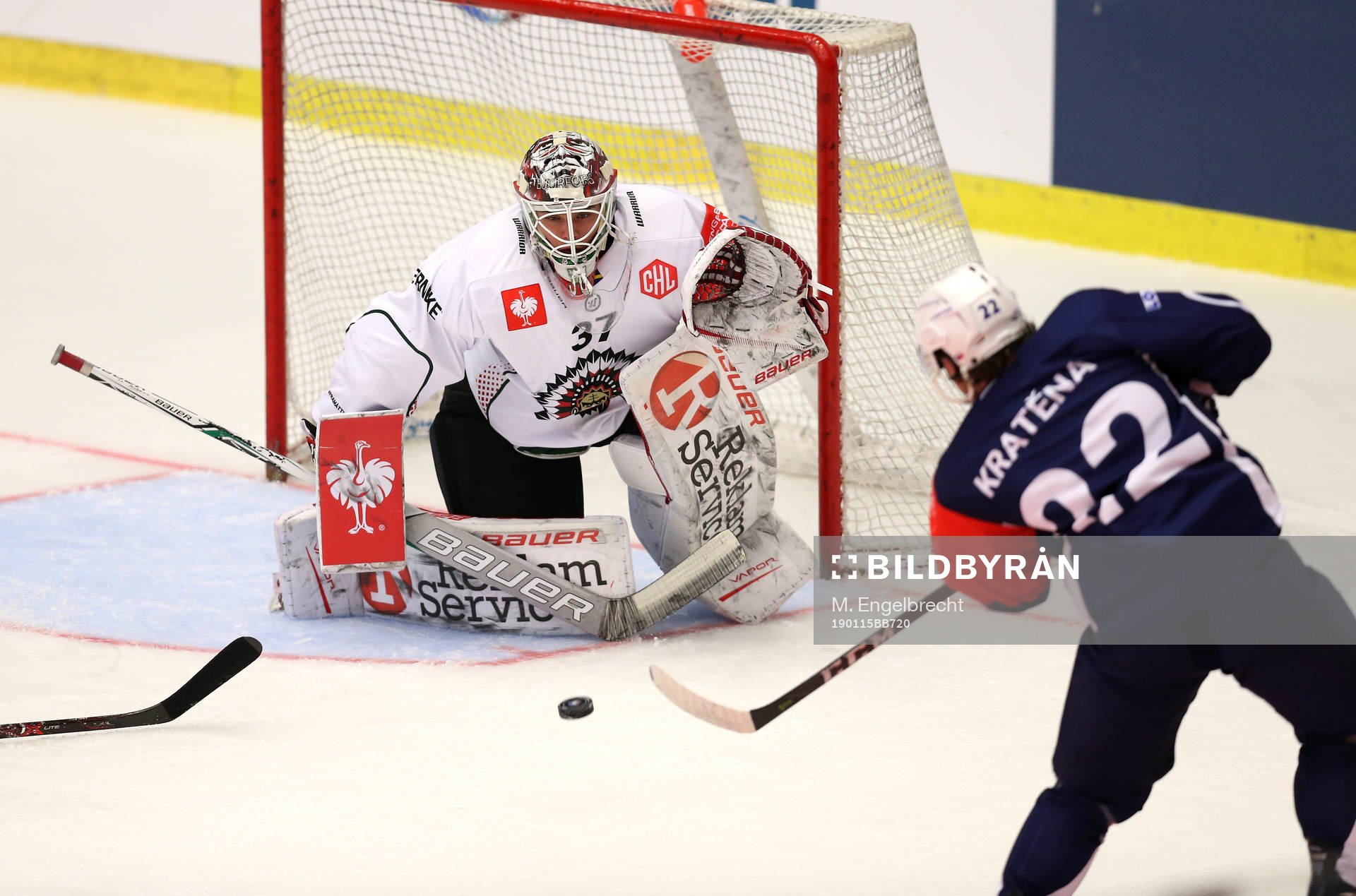 Ishockey, CHL PILSEN,CZECH REPUBLIC,15.JAN.19 - ICE HOCKEY