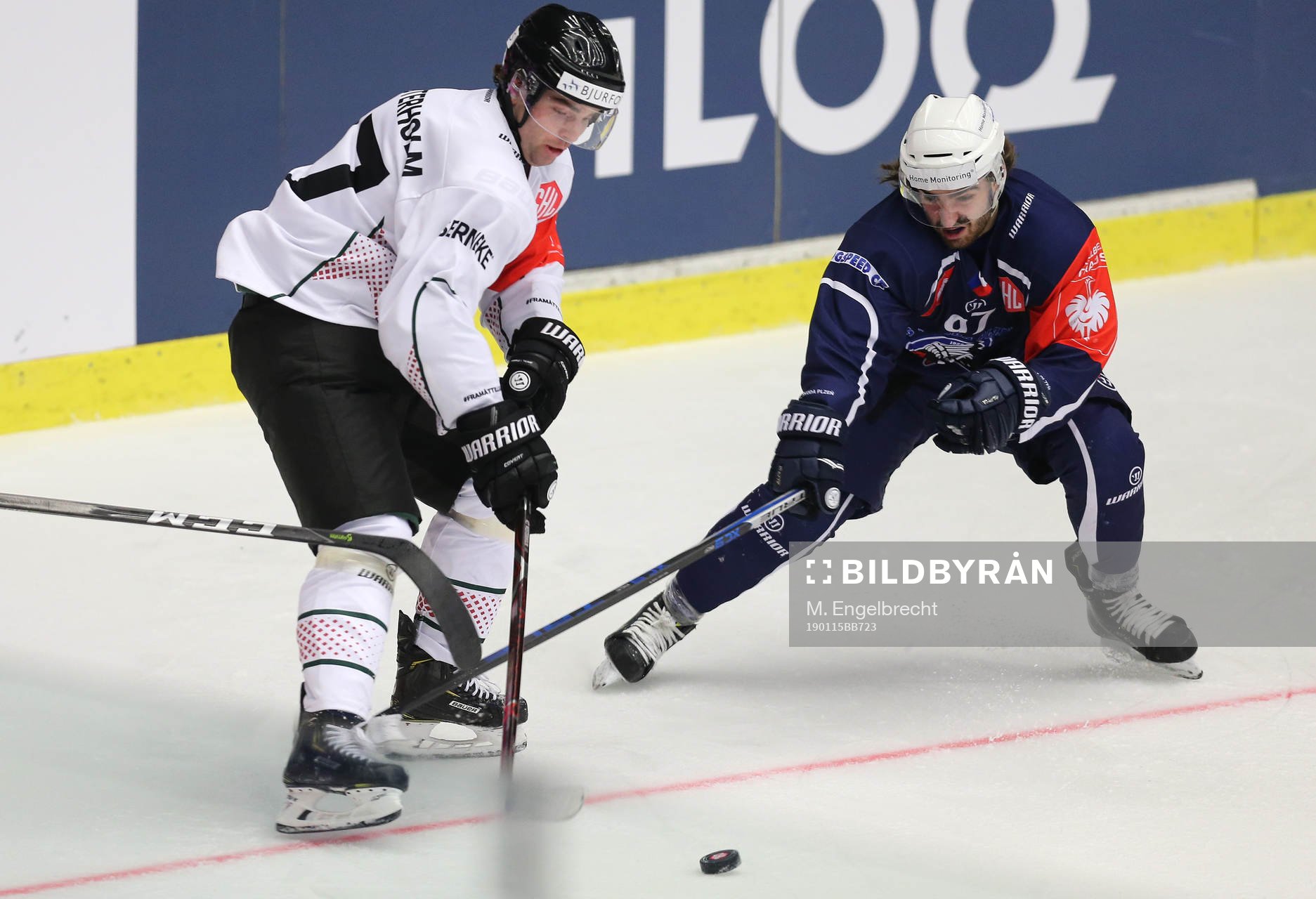 Ishockey, CHL PILSEN,CZECH REPUBLIC,15.JAN.19 - ICE HOCKEY
