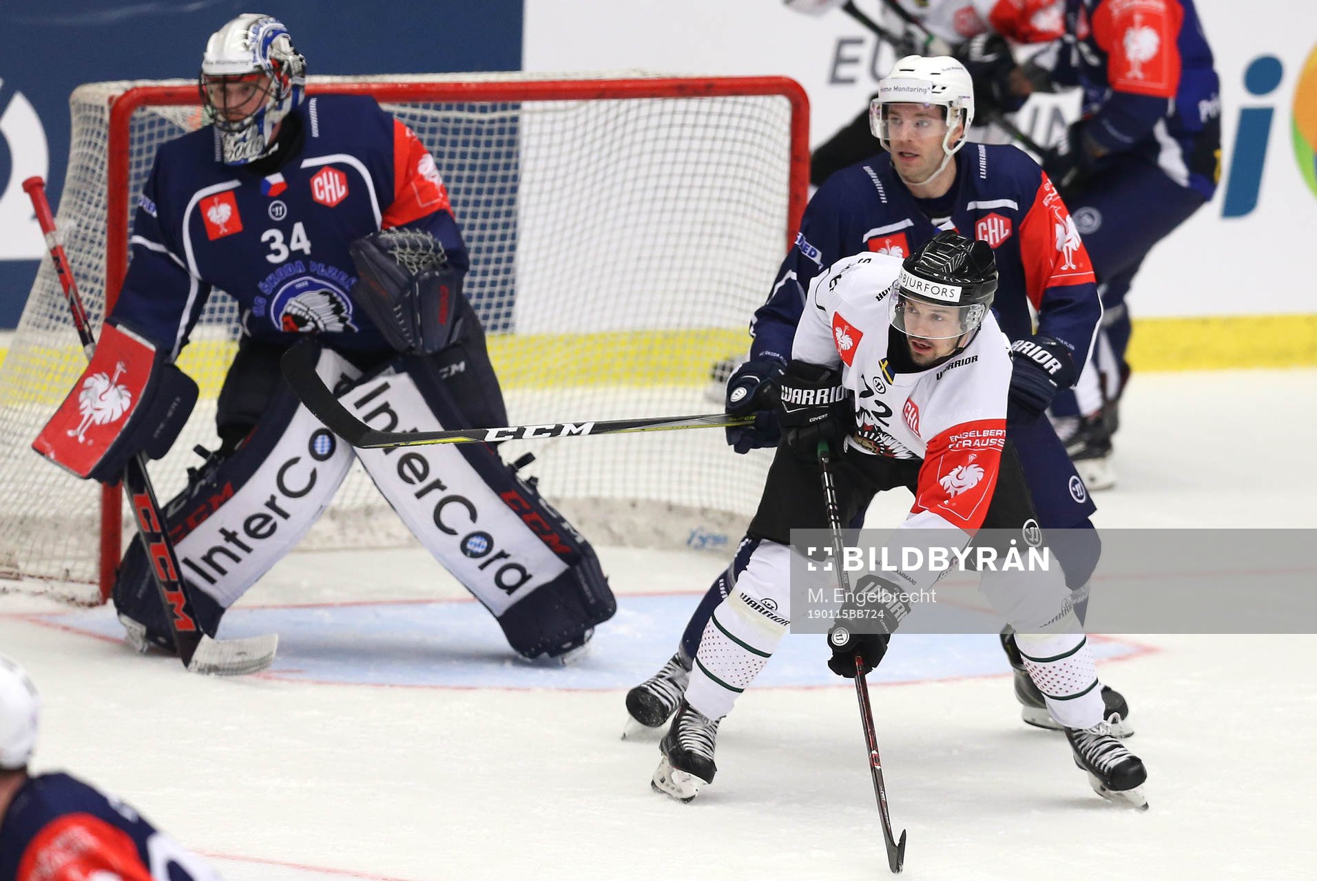 Ishockey, CHL PILSEN,CZECH REPUBLIC,15.JAN.19 - ICE HOCKEY