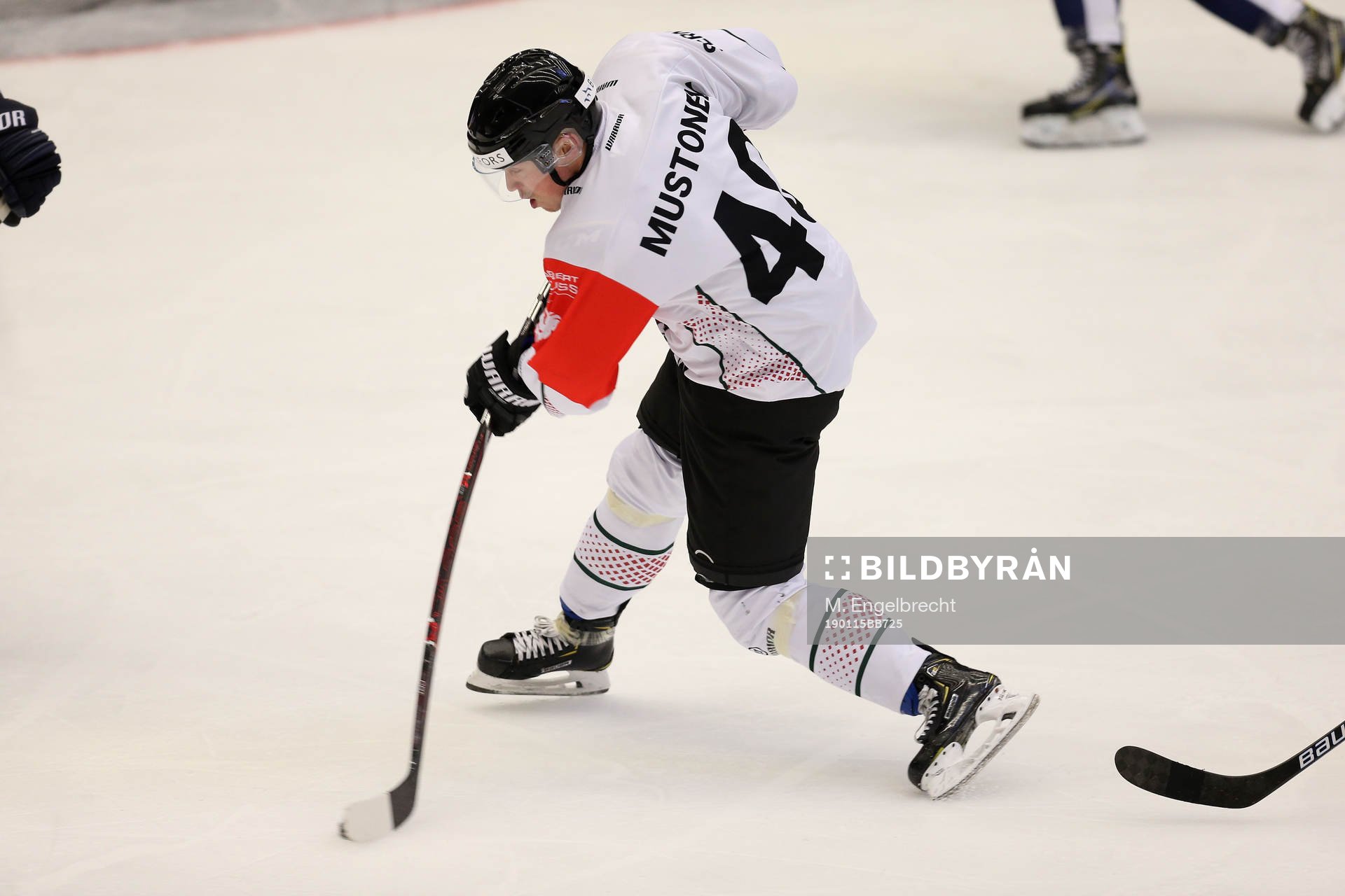 Ishockey, CHL PILSEN,CZECH REPUBLIC,15.JAN.19 - ICE HOCKEY