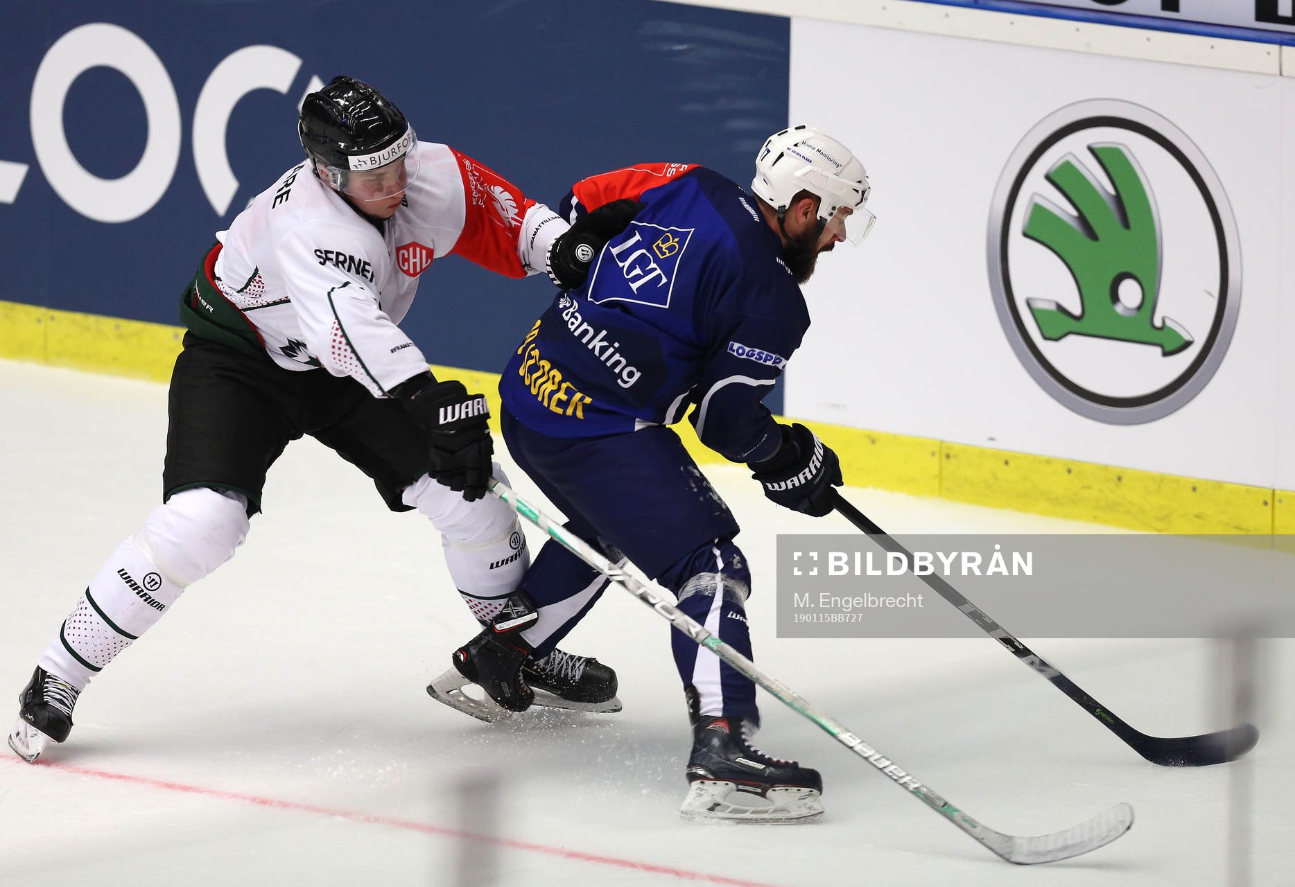 Ishockey, CHL PILSEN,CZECH REPUBLIC,15.JAN.19 - ICE HOCKEY