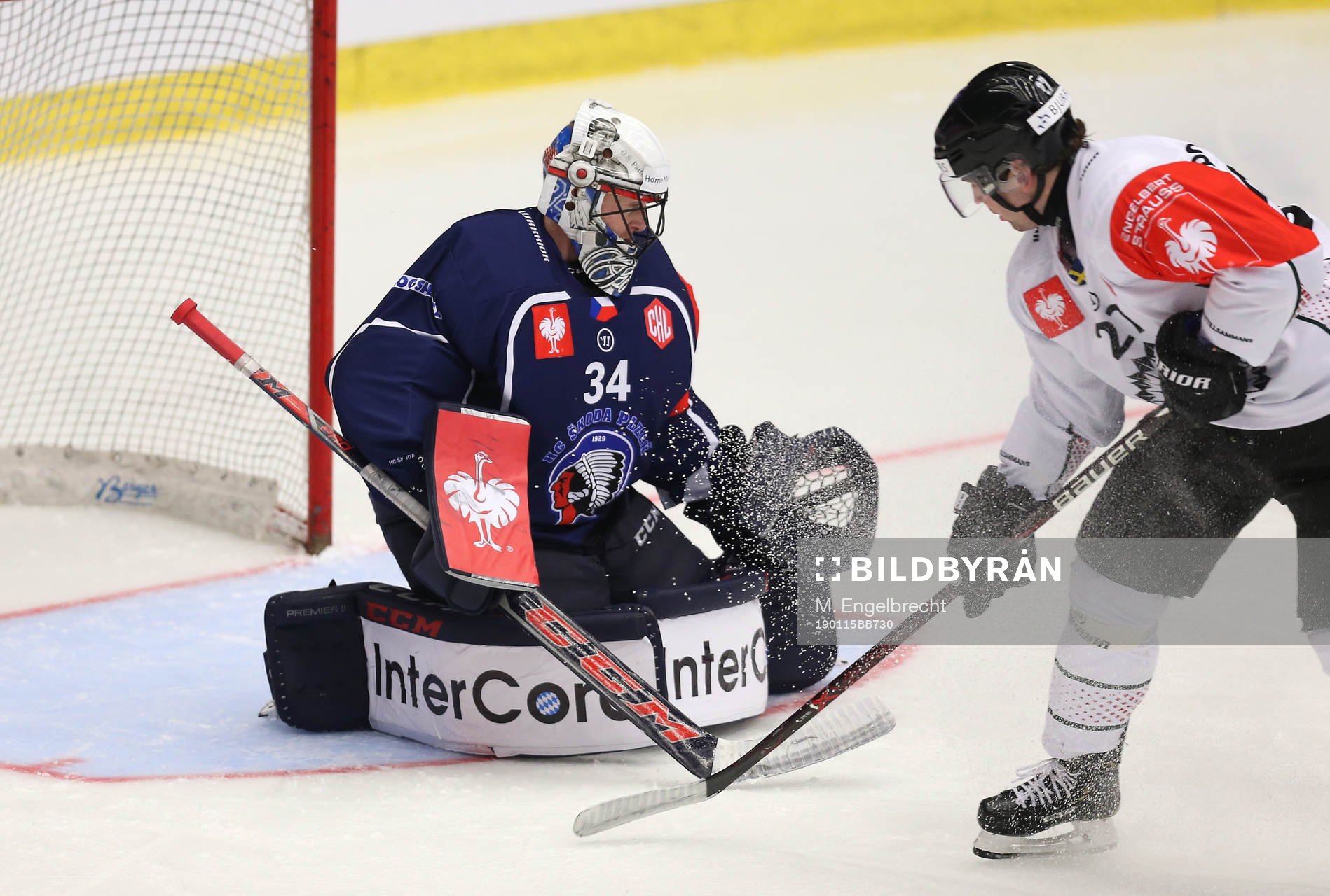 Ishockey, CHL PILSEN,CZECH REPUBLIC,15.JAN.19 - ICE HOCKEY