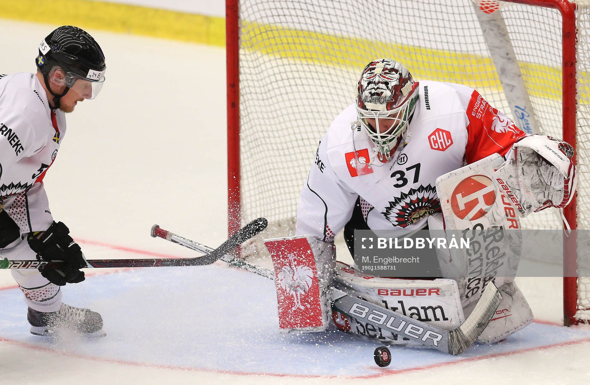 Ishockey, CHL PILSEN,CZECH REPUBLIC,15.JAN.19 - ICE HOCKEY