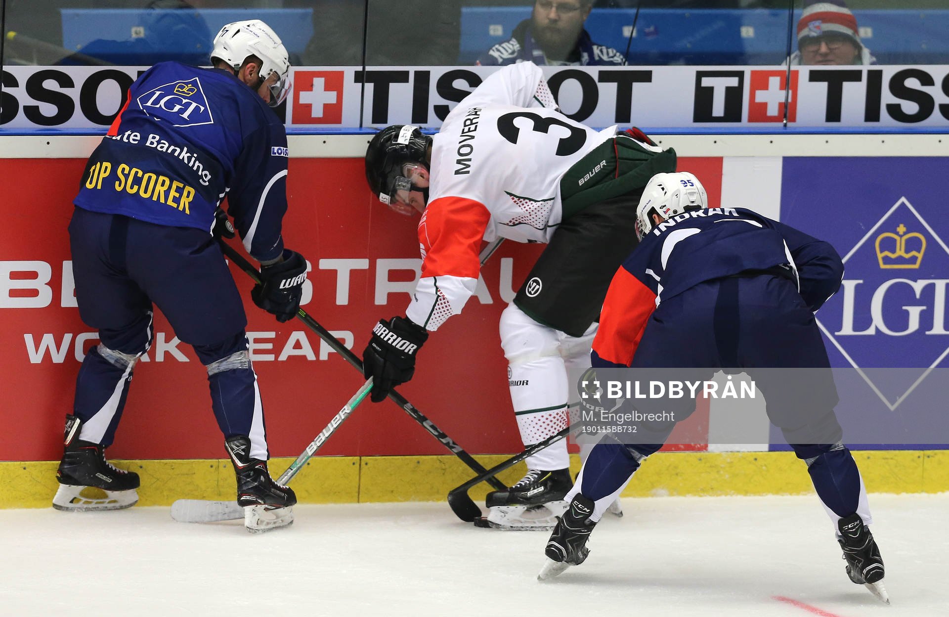 Ishockey, CHL PILSEN,CZECH REPUBLIC,15.JAN.19 - ICE HOCKEY