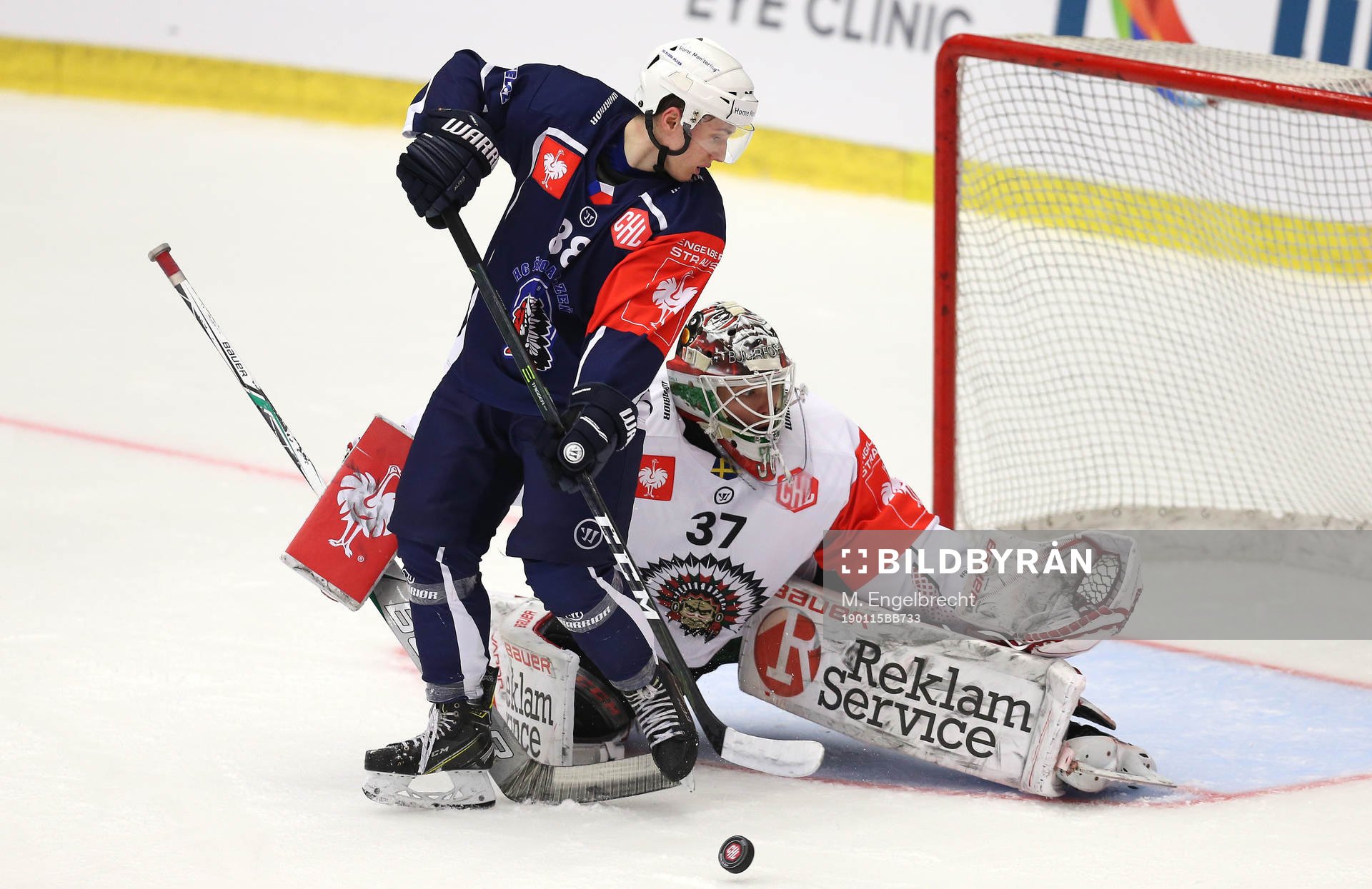 Ishockey, CHL PILSEN,CZECH REPUBLIC,15.JAN.19 - ICE HOCKEY