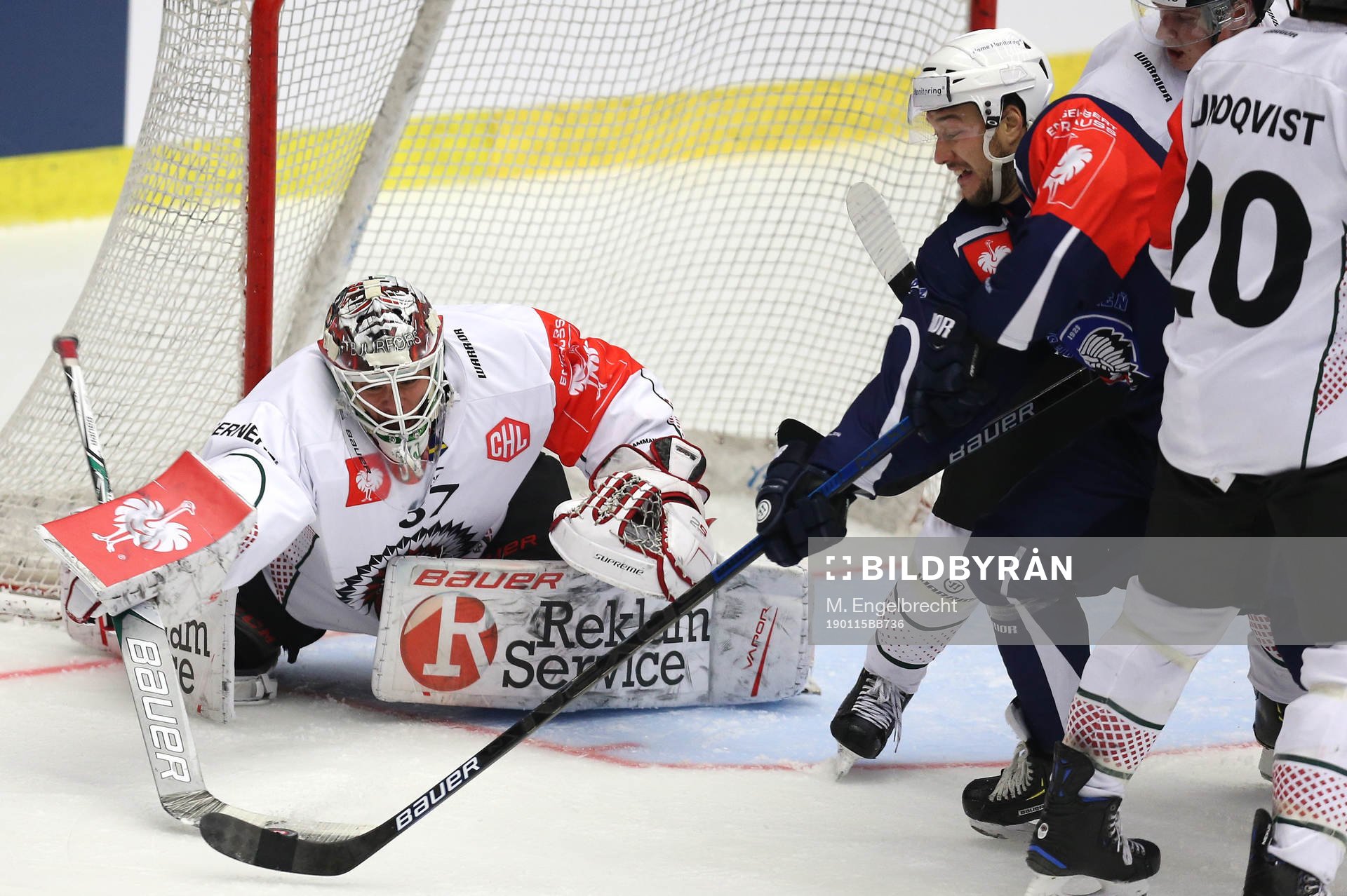Ishockey, CHL PILSEN,CZECH REPUBLIC,15.JAN.19 - ICE HOCKEY
