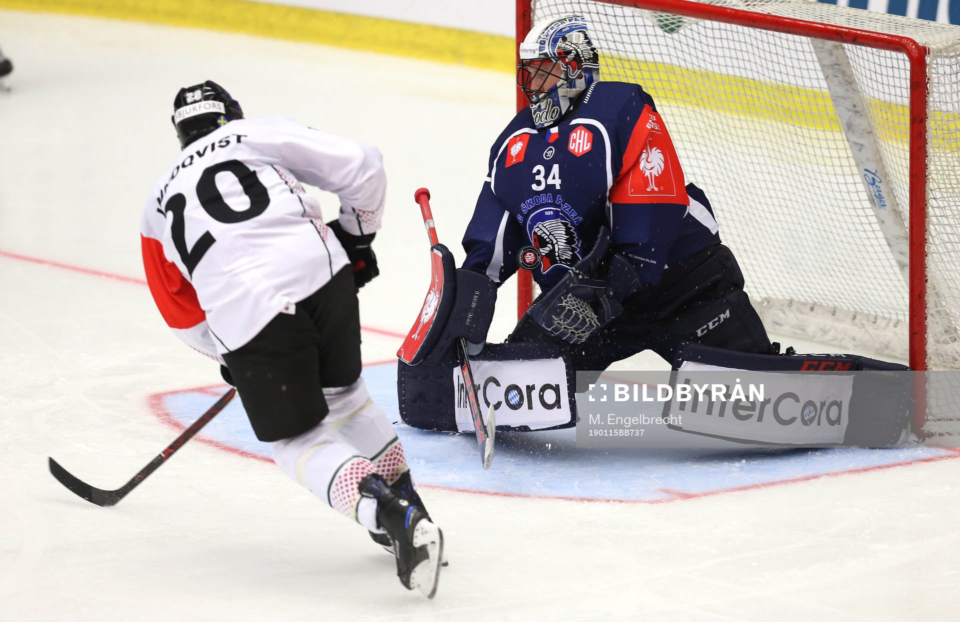 Ishockey, CHL PILSEN,CZECH REPUBLIC,15.JAN.19 - ICE HOCKEY