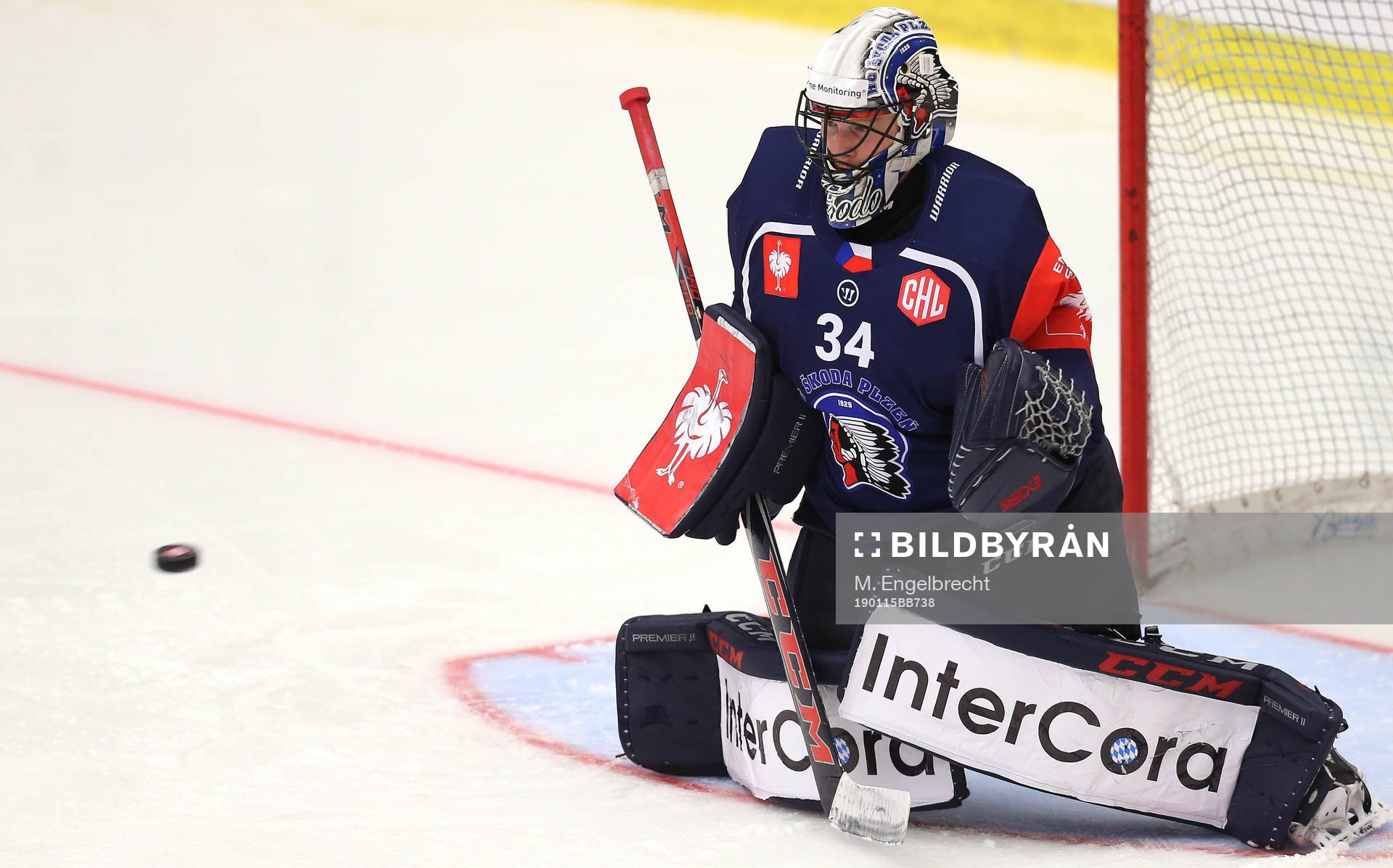 Ishockey, CHL PILSEN,CZECH REPUBLIC,15.JAN.19 - ICE HOCKEY