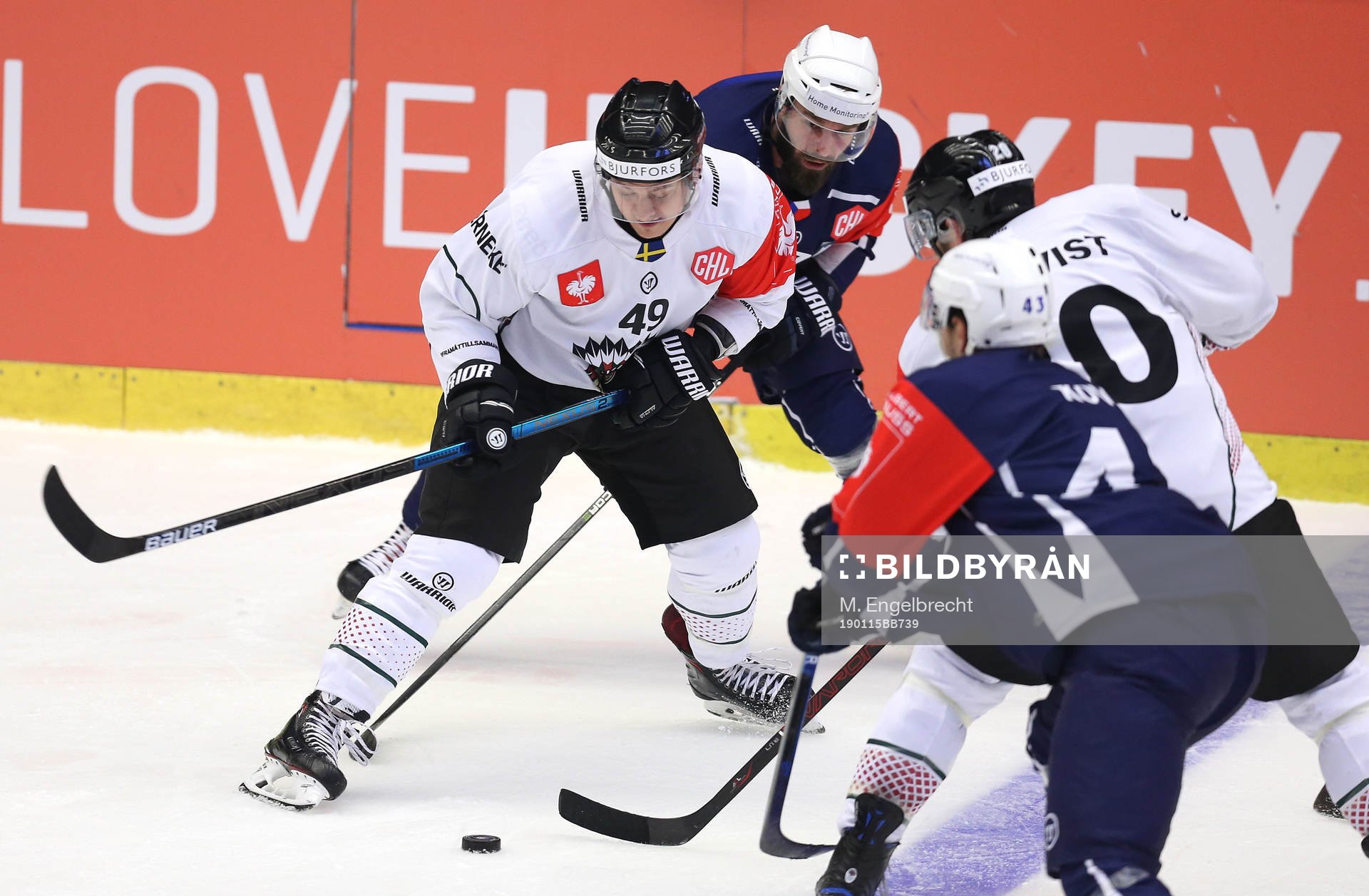 Ishockey, CHL PILSEN,CZECH REPUBLIC,15.JAN.19 - ICE HOCKEY