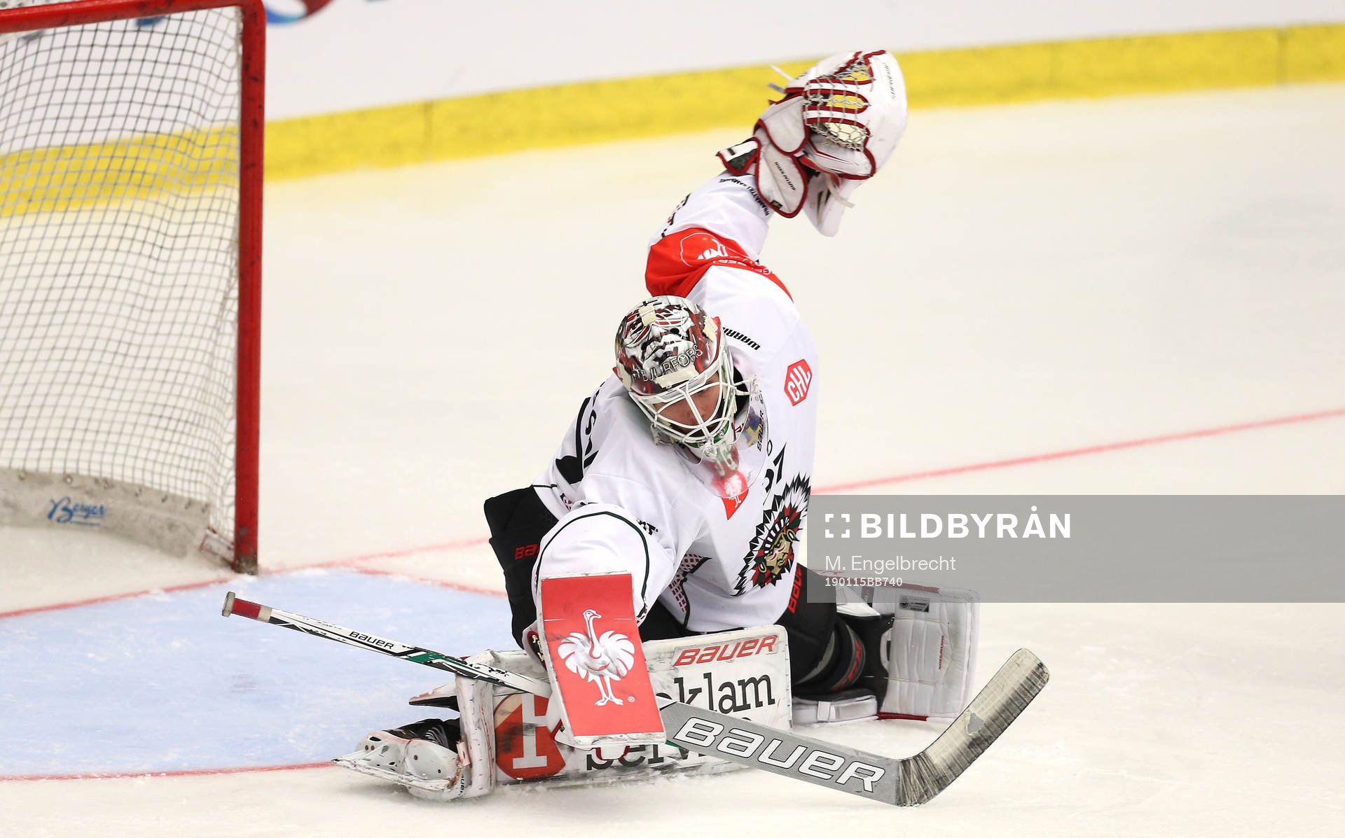 Ishockey, CHL PILSEN,CZECH REPUBLIC,15.JAN.19 - ICE HOCKEY