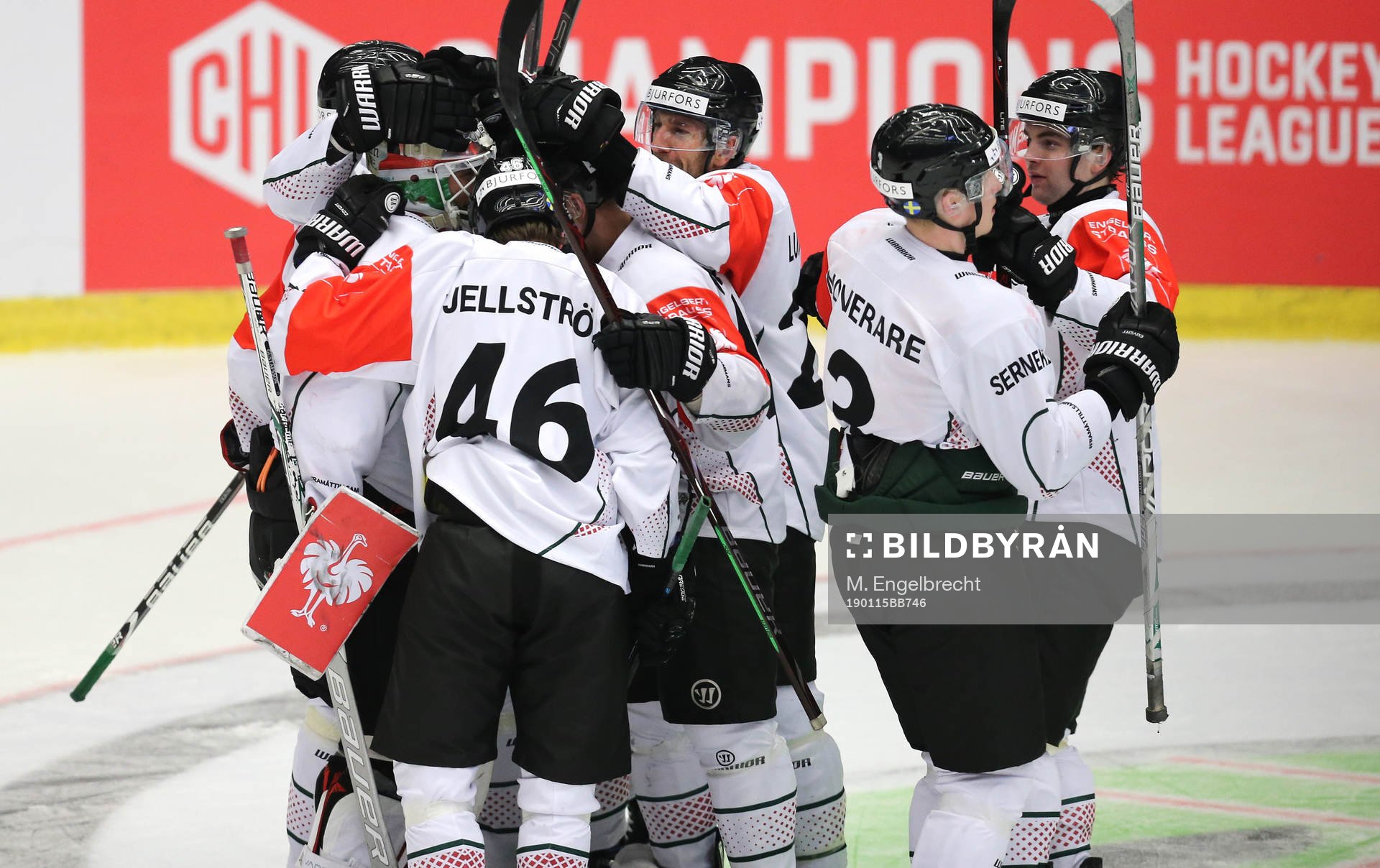 Ishockey, CHL PILSEN,CZECH REPUBLIC,15.JAN.19 - ICE HOCKEY