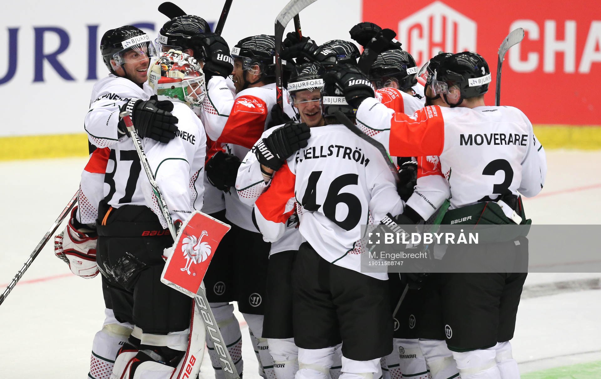 Ishockey, CHL PILSEN,CZECH REPUBLIC,15.JAN.19 - ICE HOCKEY