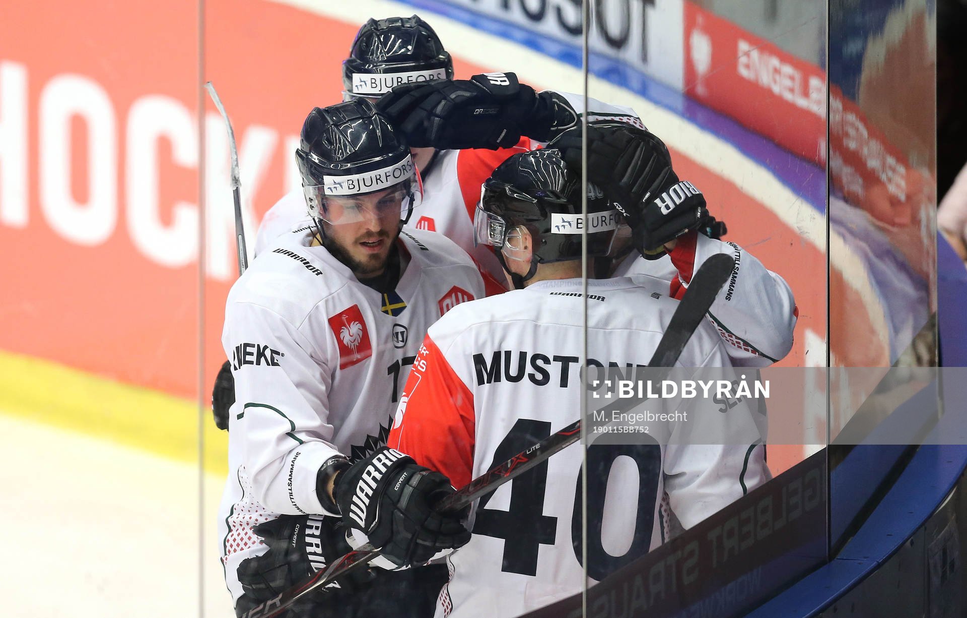 Ishockey, CHL PILSEN,CZECH REPUBLIC,15.JAN.19 - ICE HOCKEY