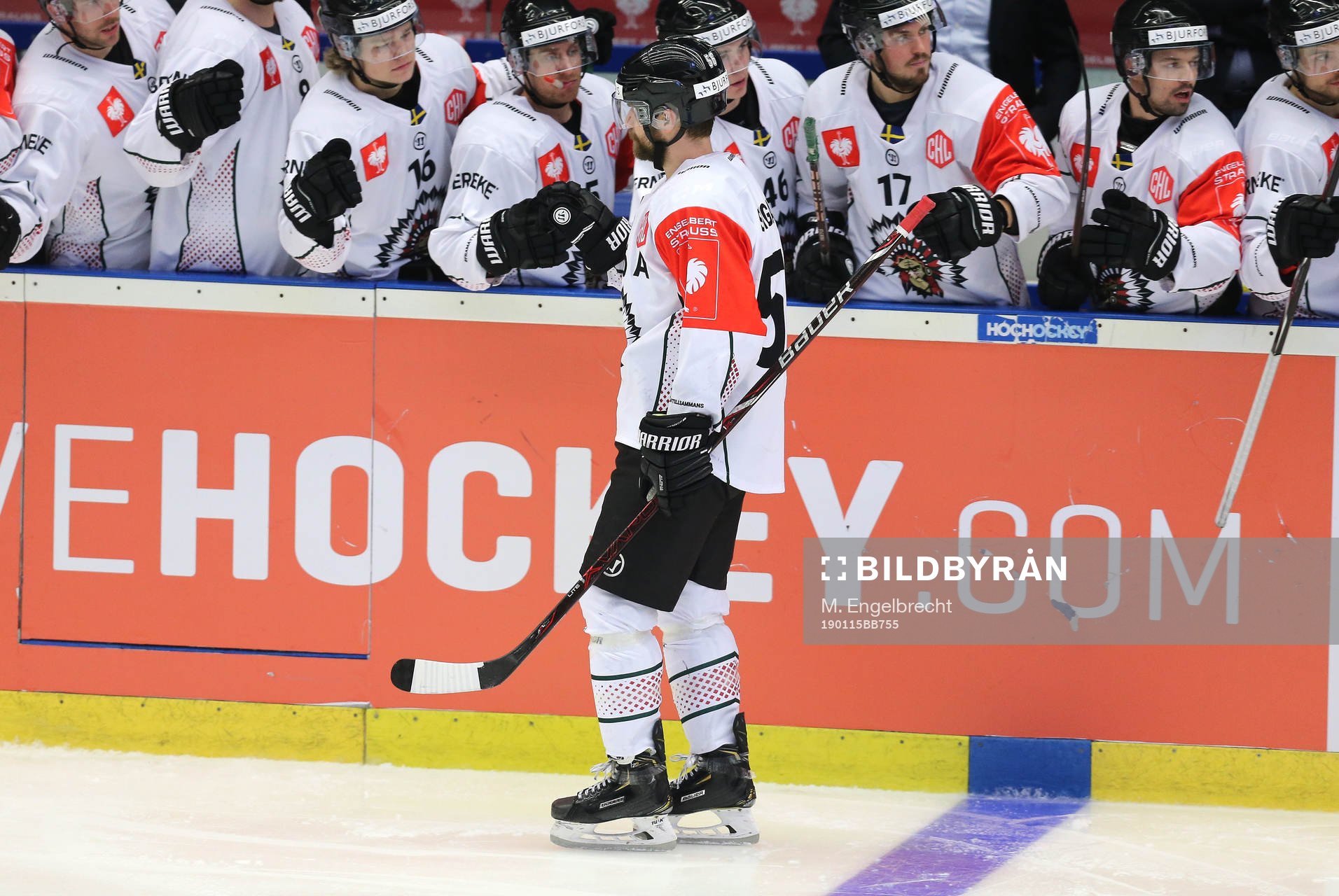 Ishockey, CHL PILSEN,CZECH REPUBLIC,15.JAN.19 - ICE HOCKEY