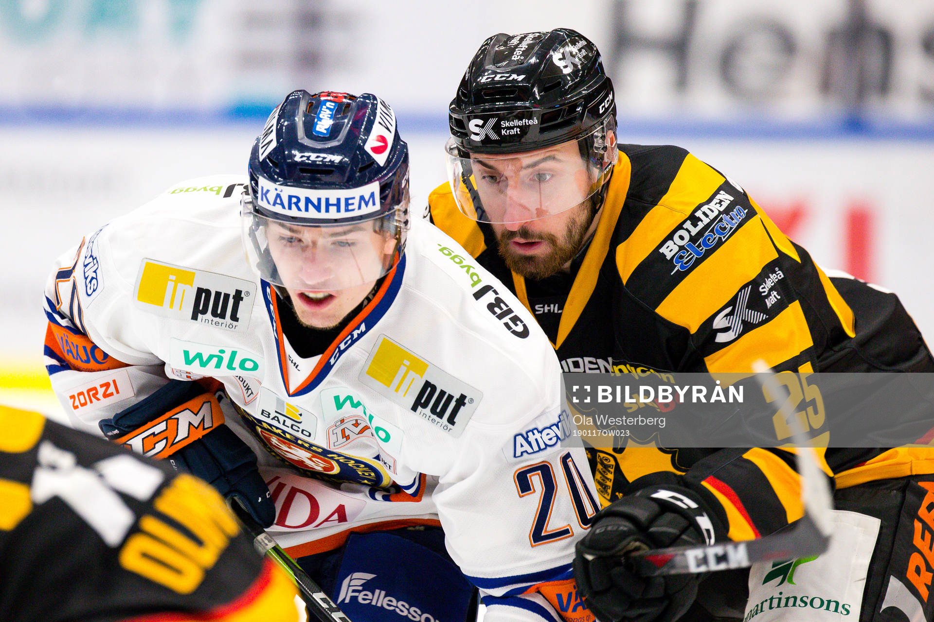 Skellefteås Albin Lundin
