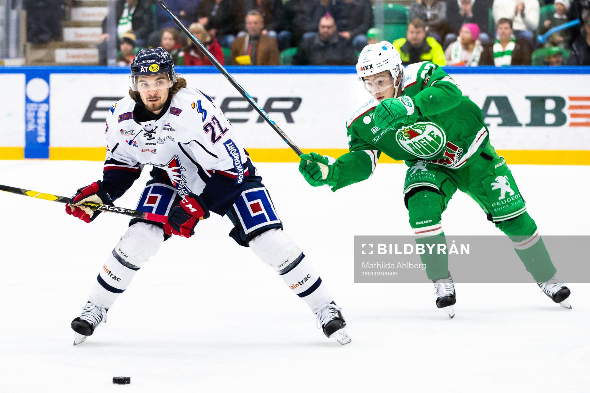 Linköpings Adam Brodecki och Rögles Lucas Elvenes