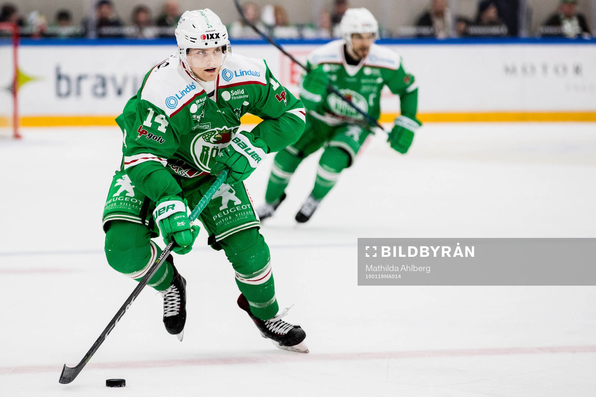 Rögles Trevor Mingoia