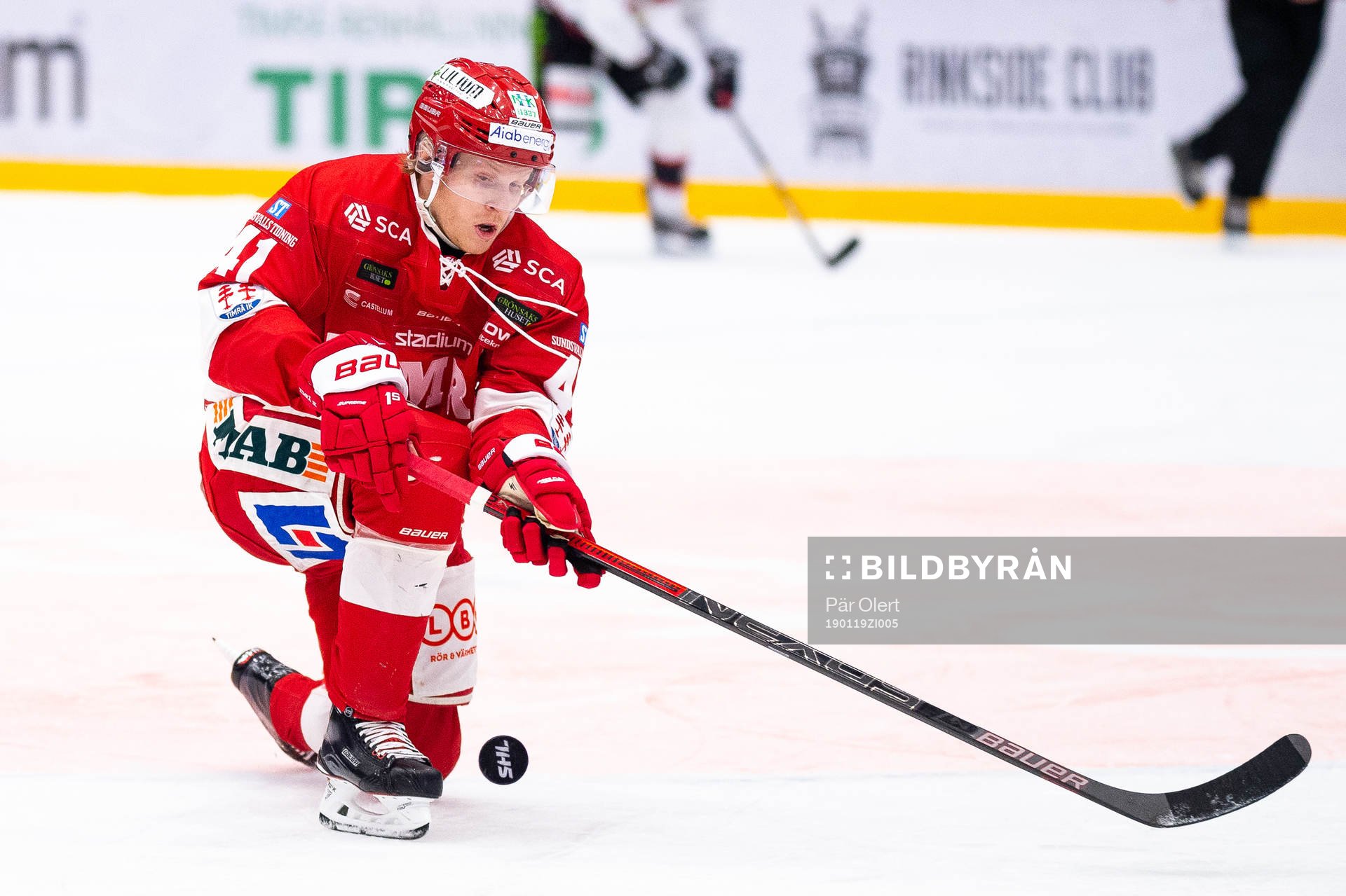 Timrås Alexander Falk