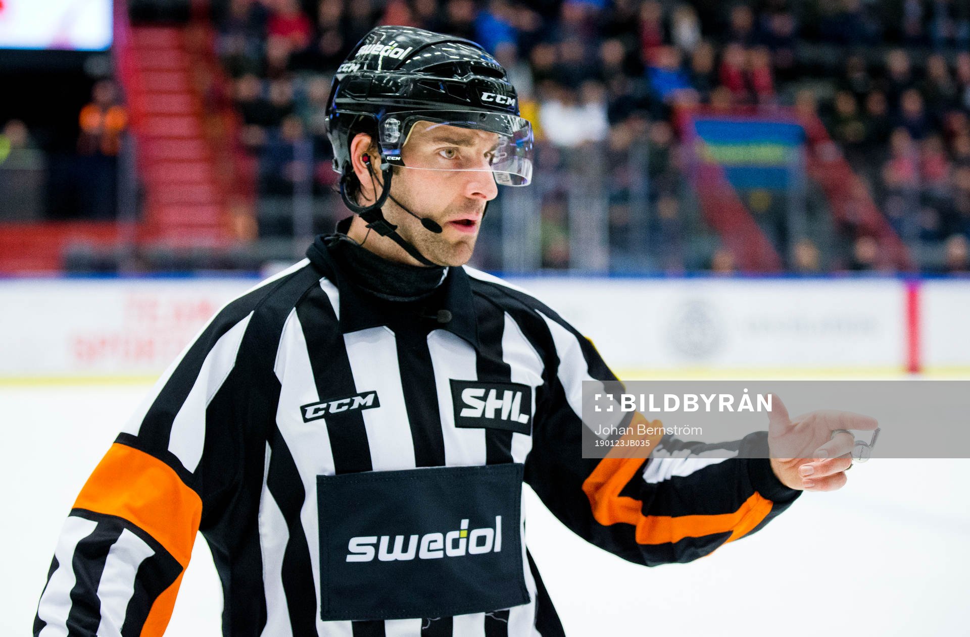 Domaren Mikael Sjöqvist