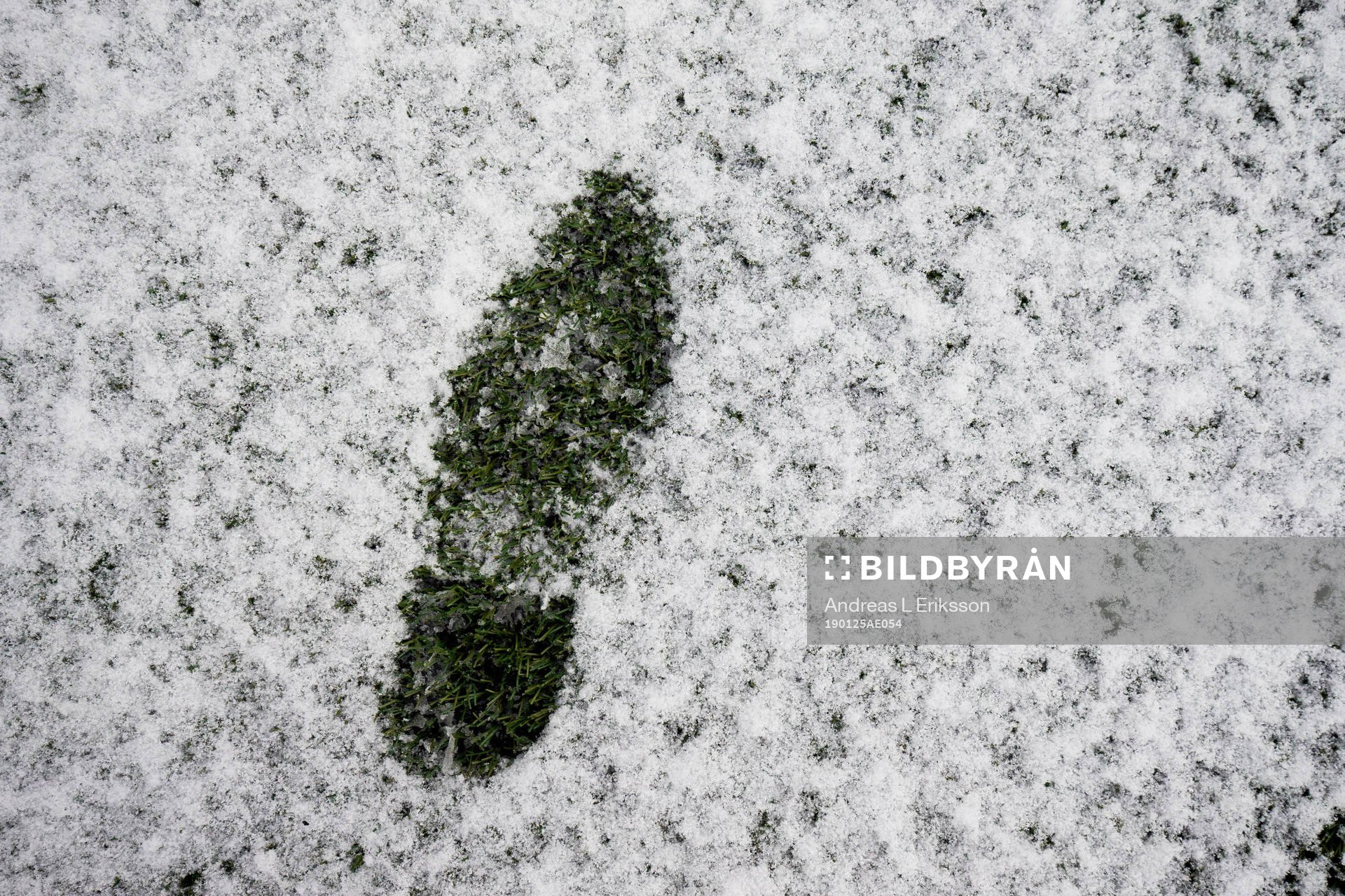 Ett fotsteg i snön på en konstgräsplan