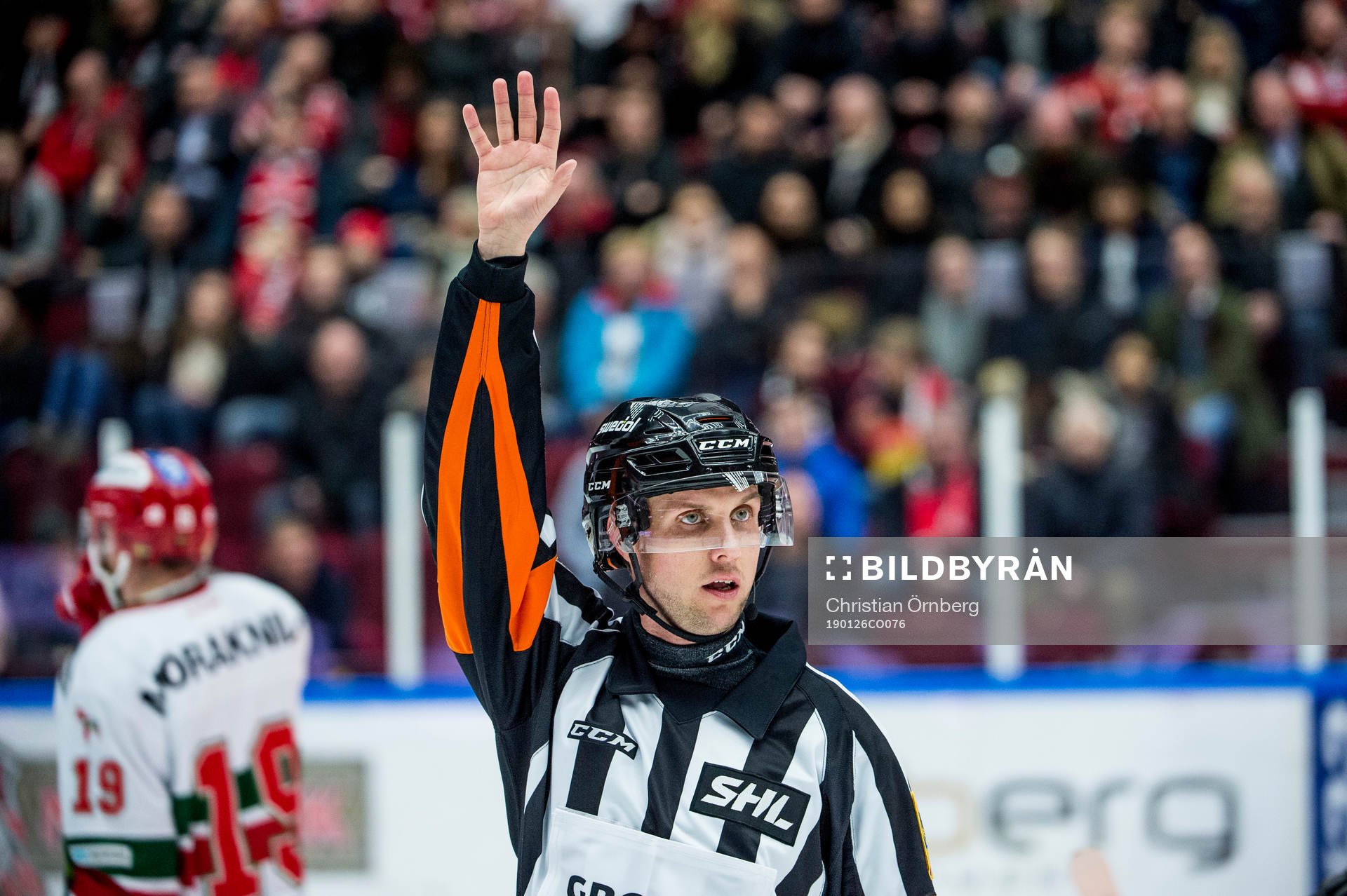 Domaren Patric Bjälkander