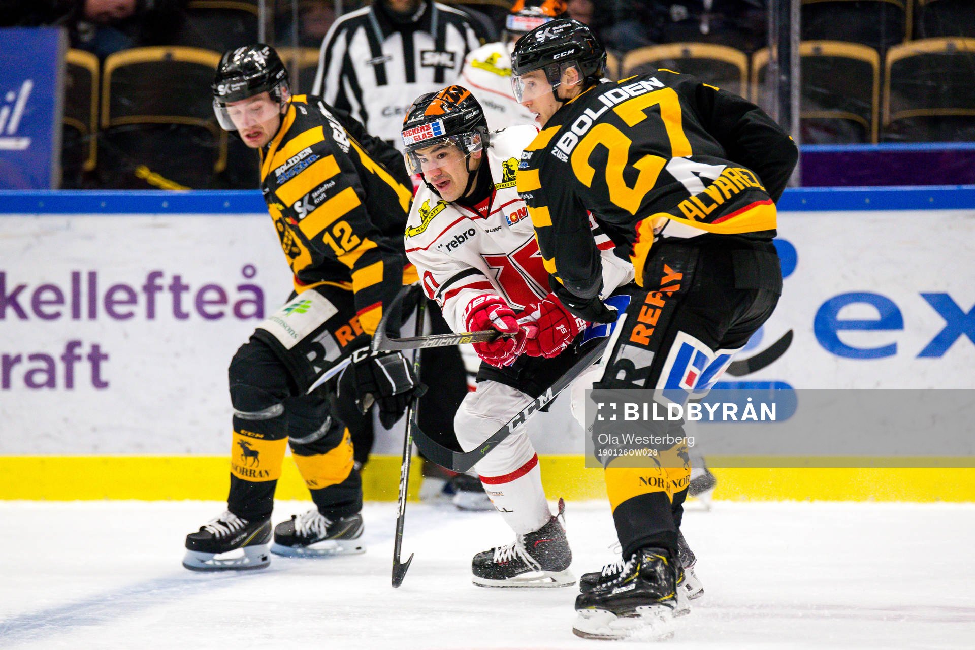 Skellefteås Robin Alvarez