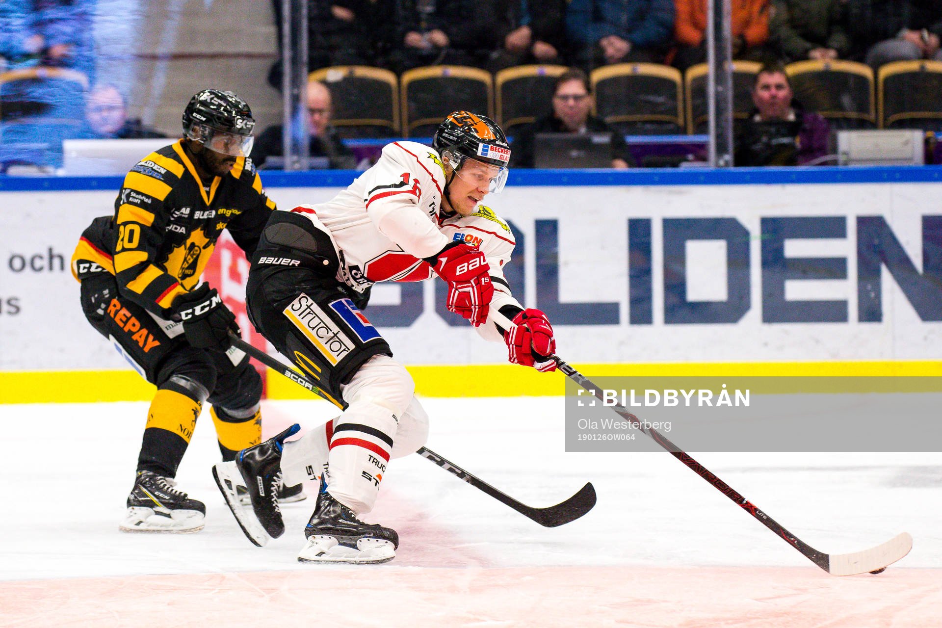 Skellefteås Edwin Hedberg