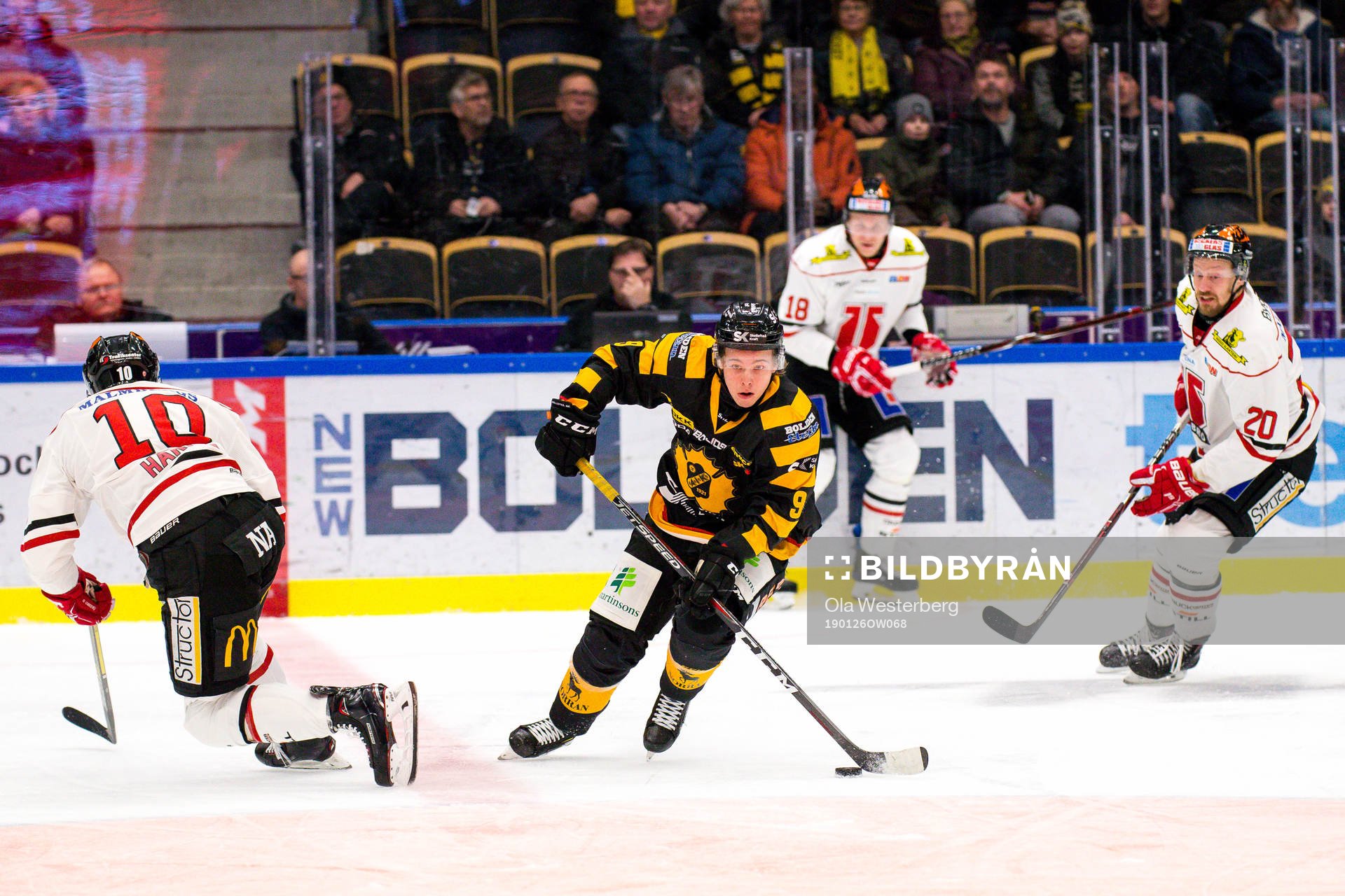 Skellefteås Tim Söderlund