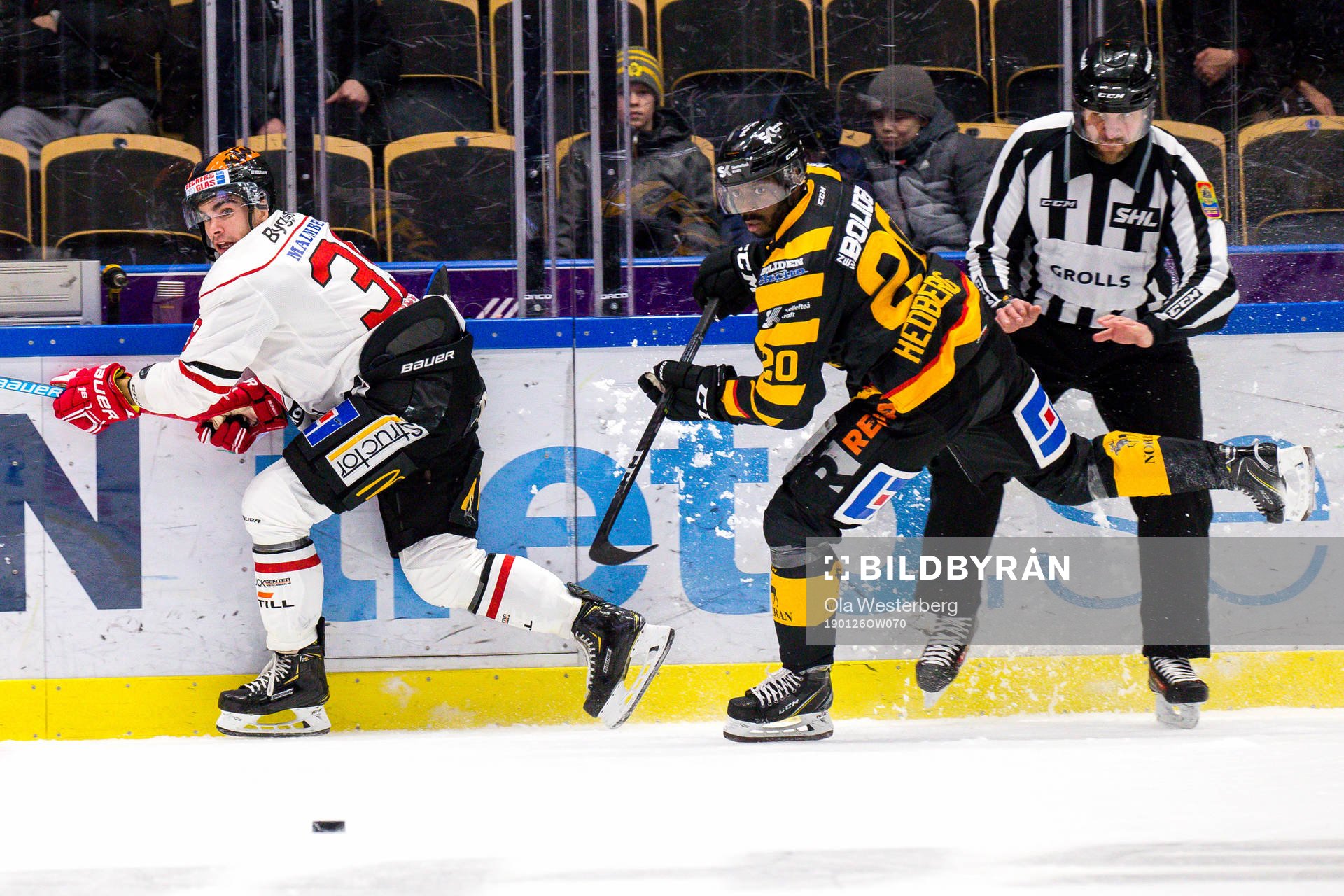 Skellefteås Edwin Hedberg