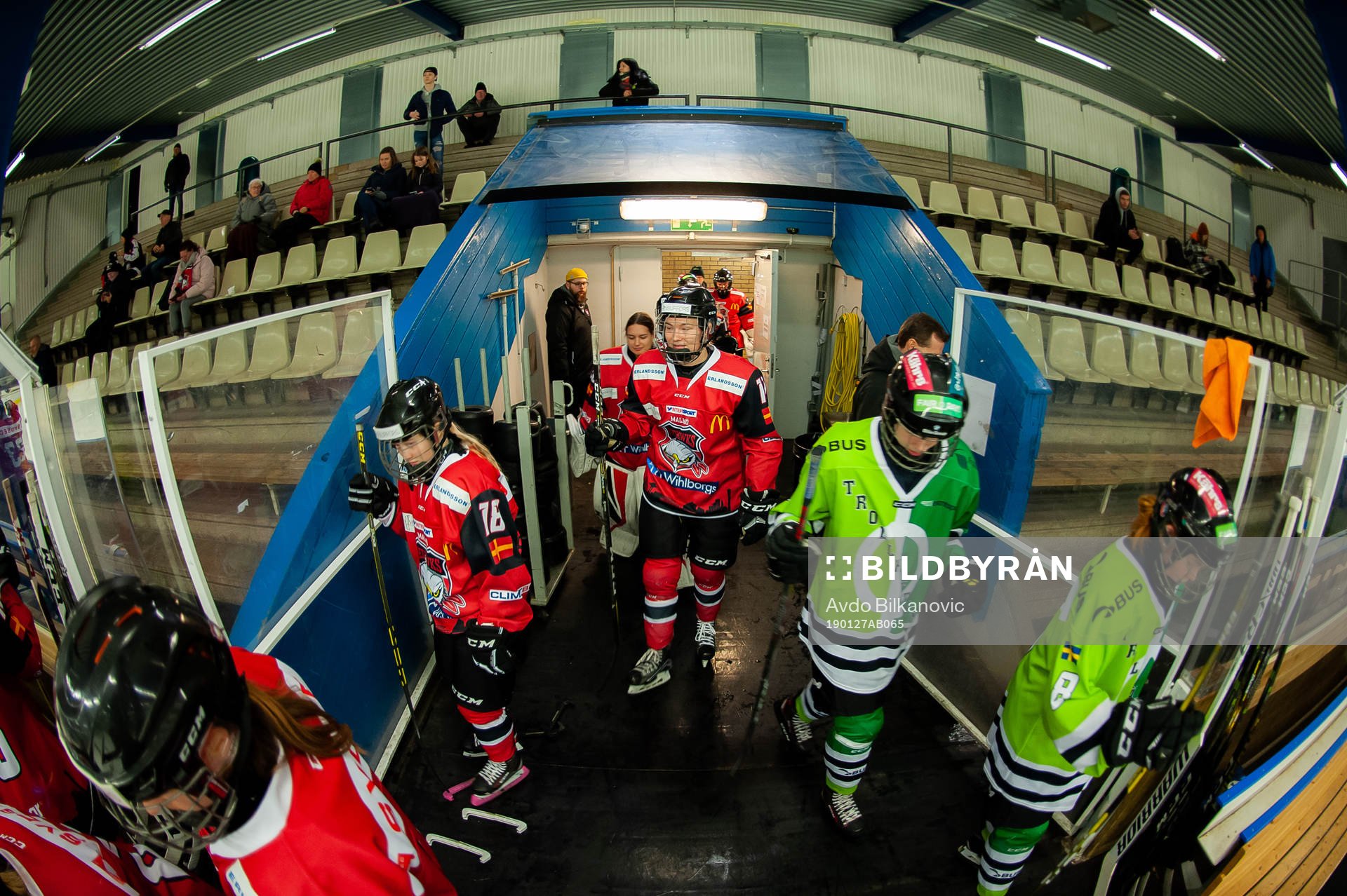Redhawks och Trollhettan spelare kommer ut på isen