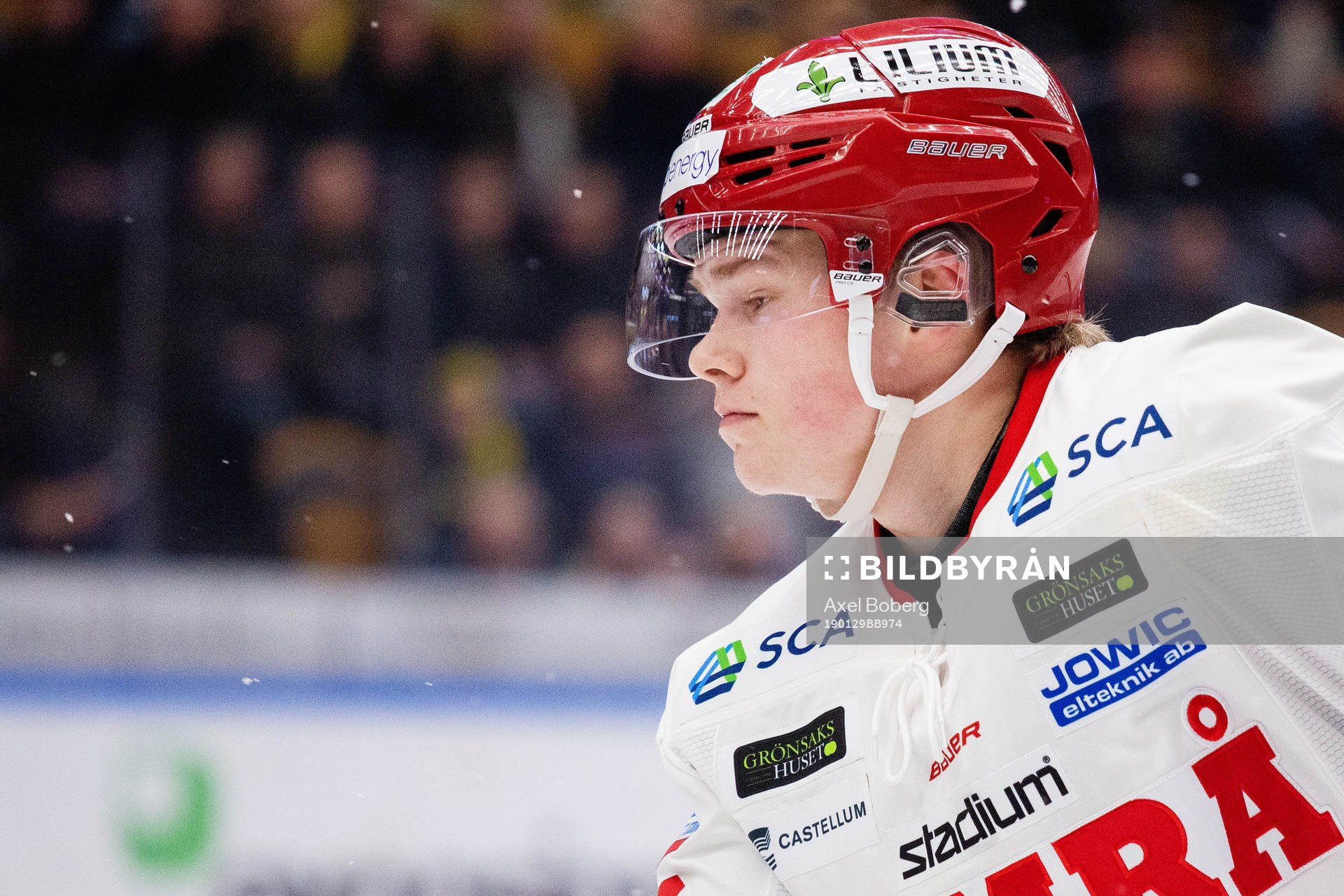 Timrås Filip Westerlund