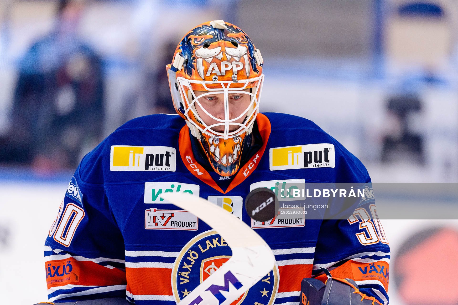 Växjös målvakt Viktor Fasth
