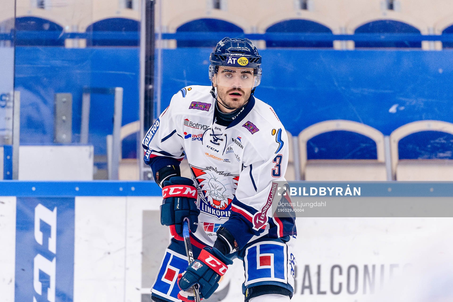 Linköpings Almen Bibic