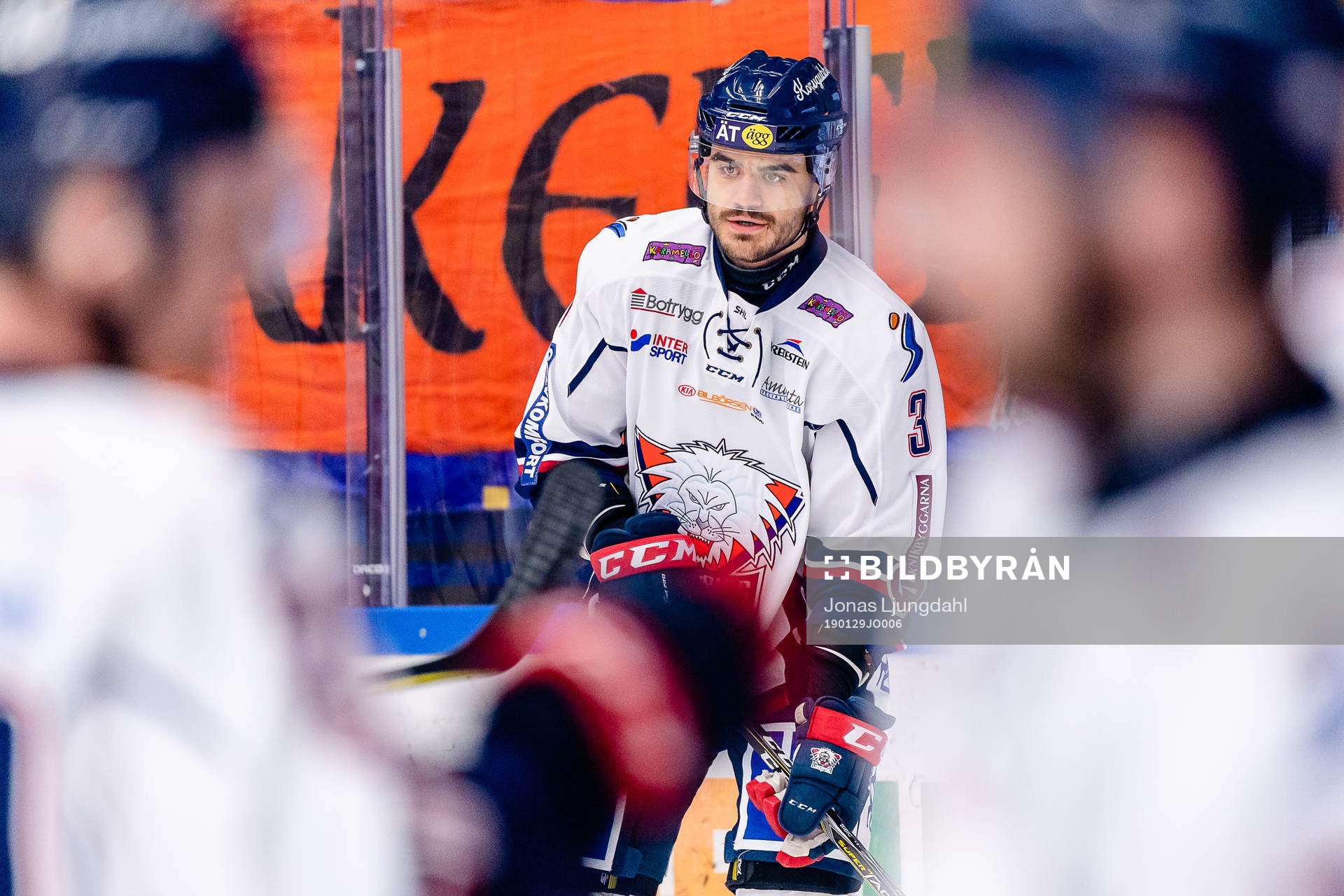 Linköpings Almen Bibic