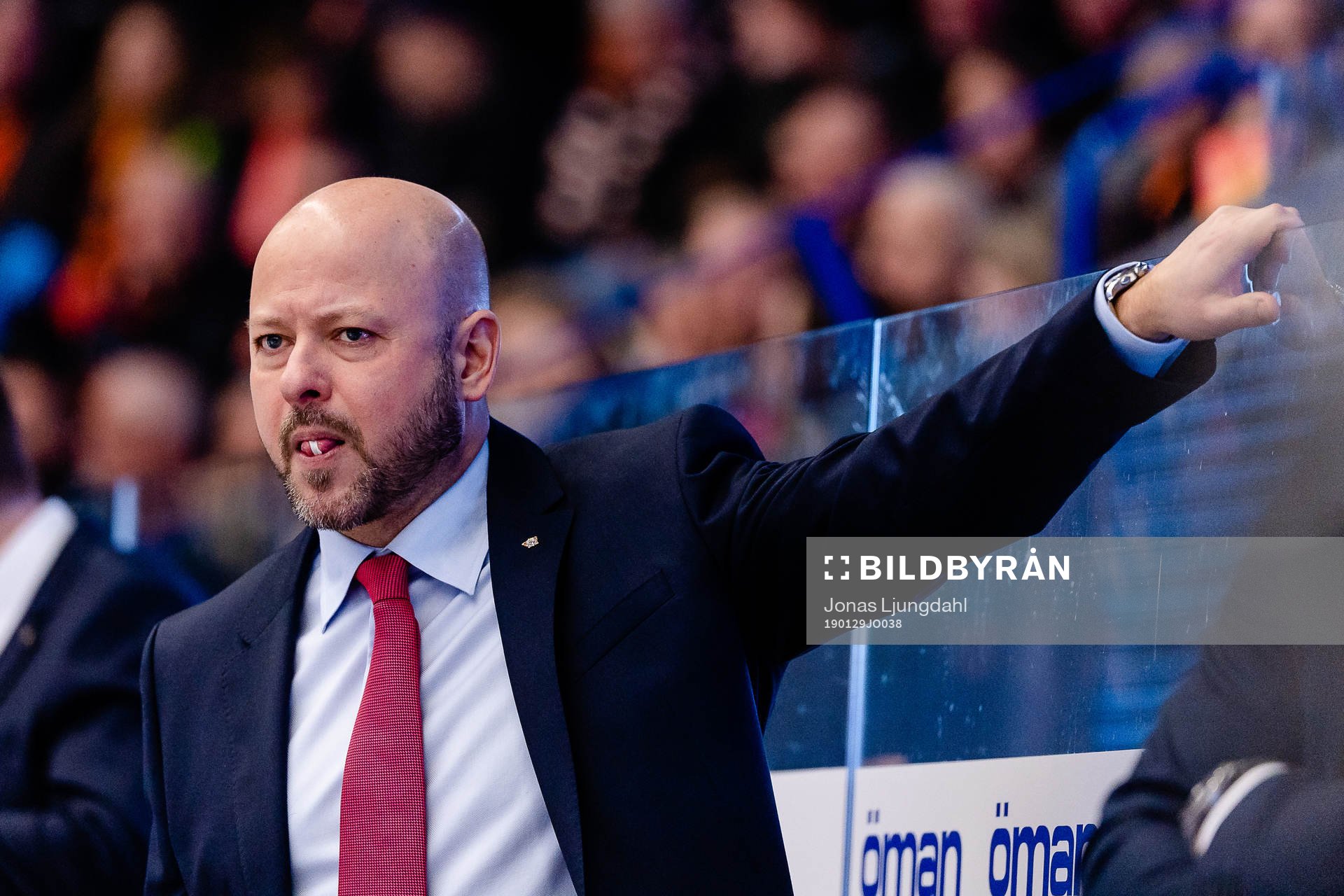Linköpings tränare Tommy Jonsson